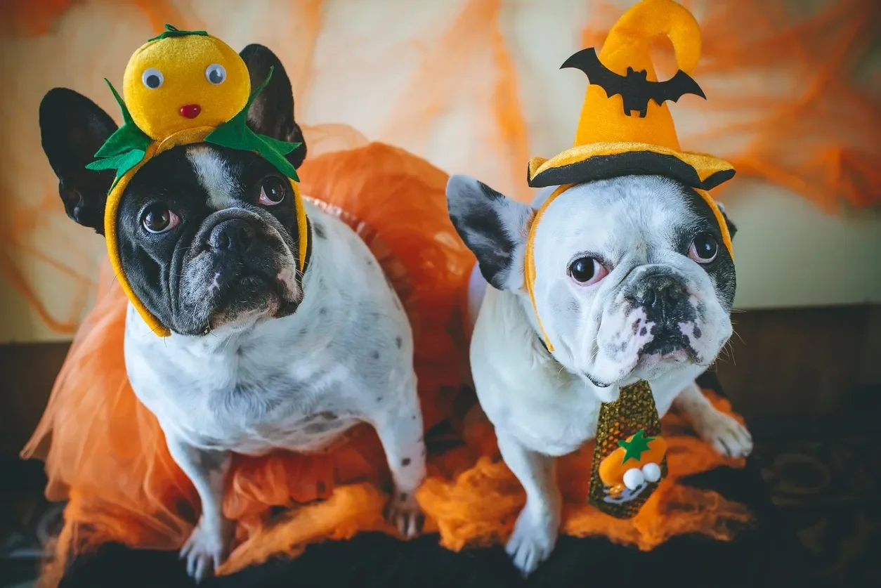 How to Host a Halloween Party: Food, Decor, and Fun Activities