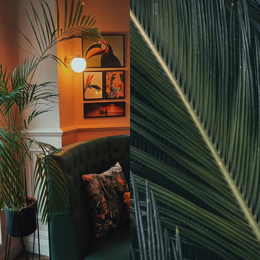 Commercial Hotel Design