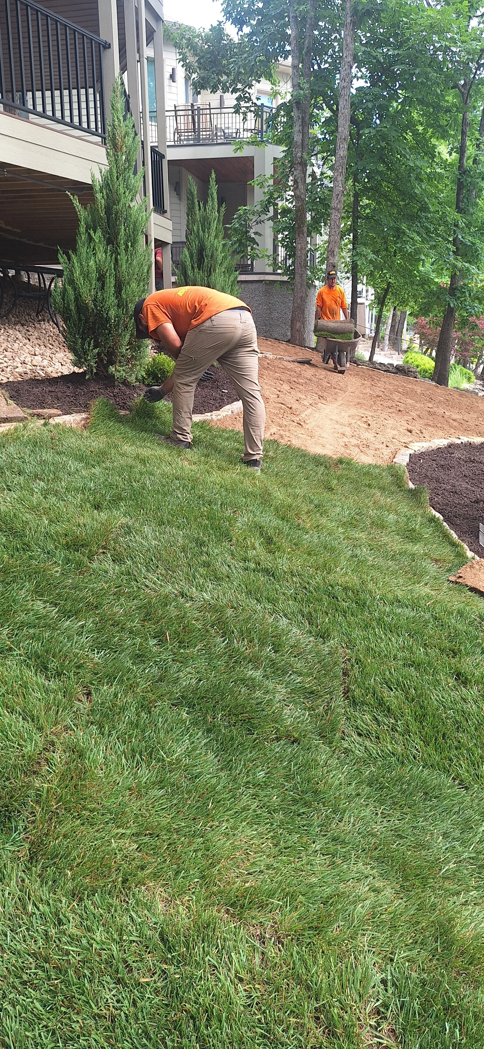 Prep for sod, stone edging, plants