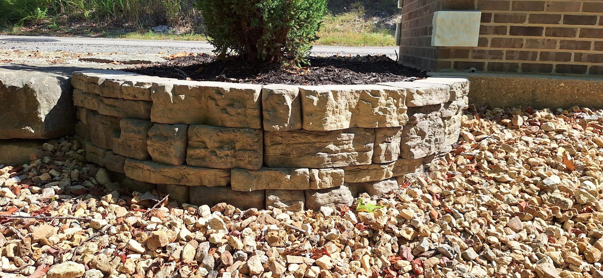 Belveder wall, Juniper tree