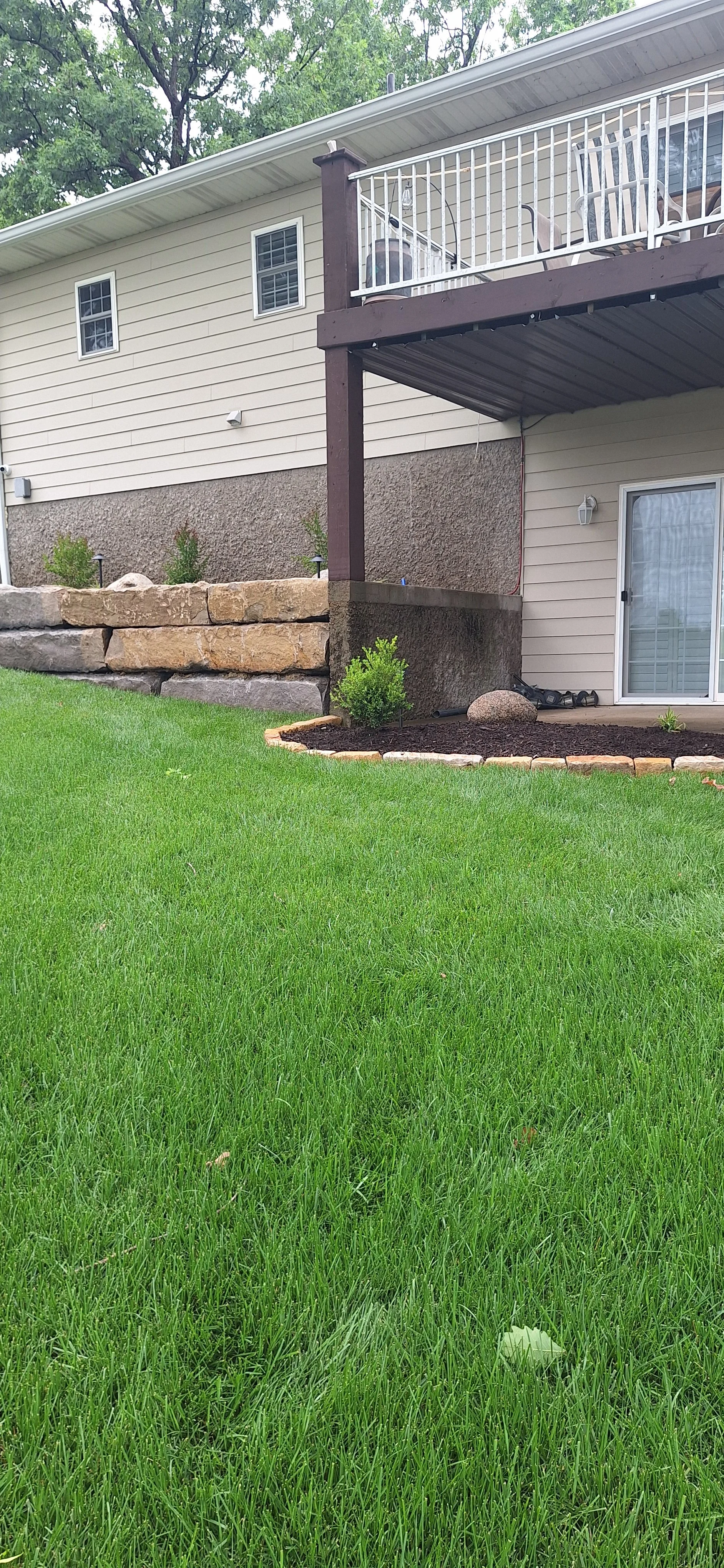Progress photo, adding plants