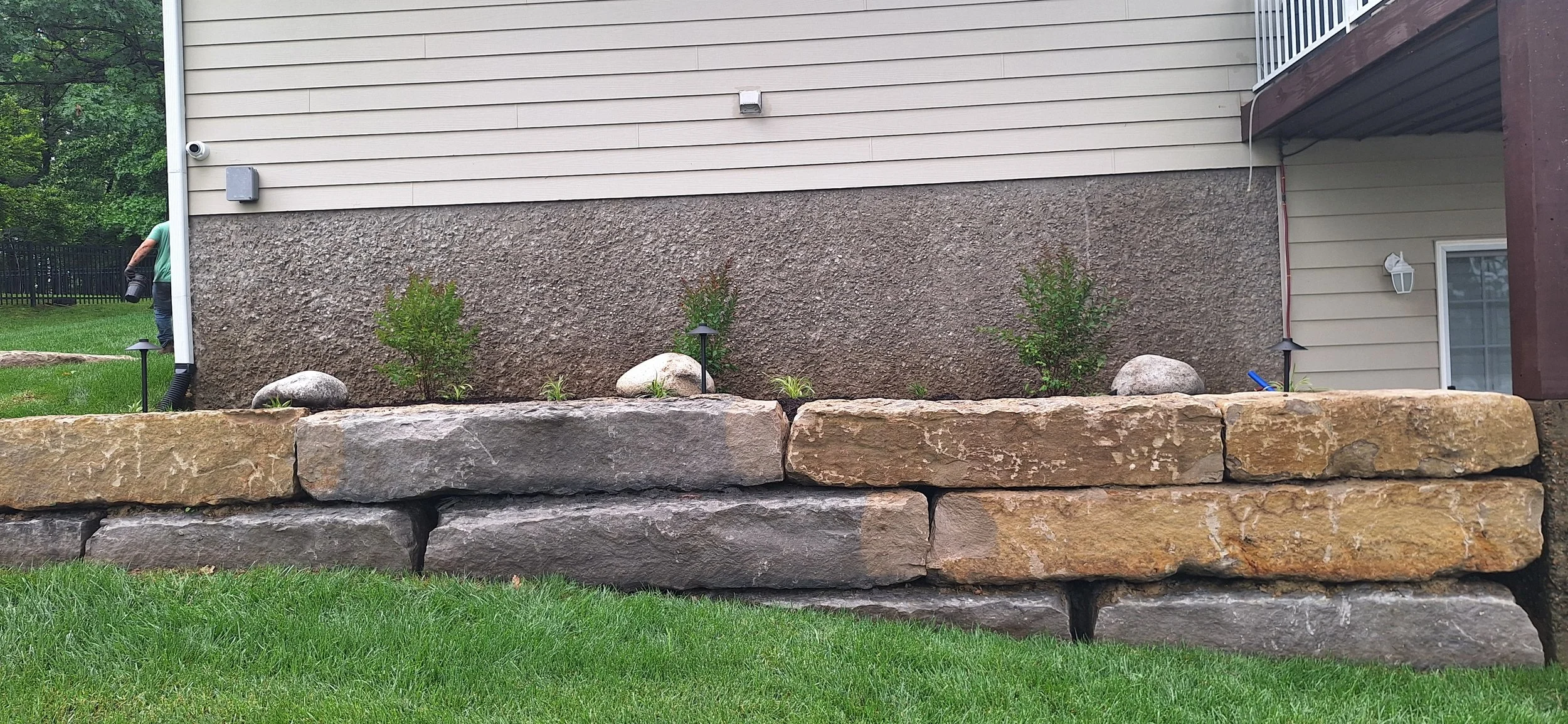 Progress photo, adding plants and landscape lighting