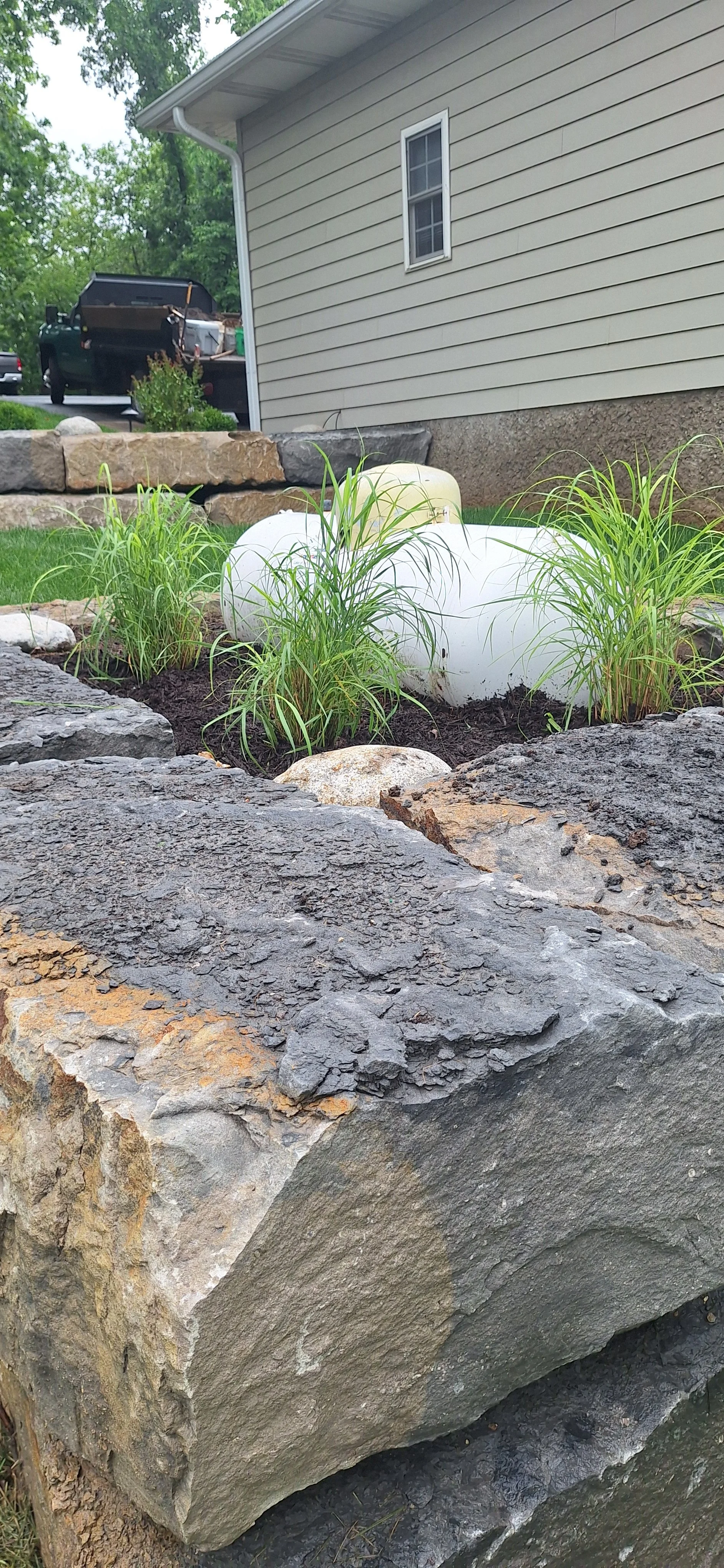 Progress photo, adding plants