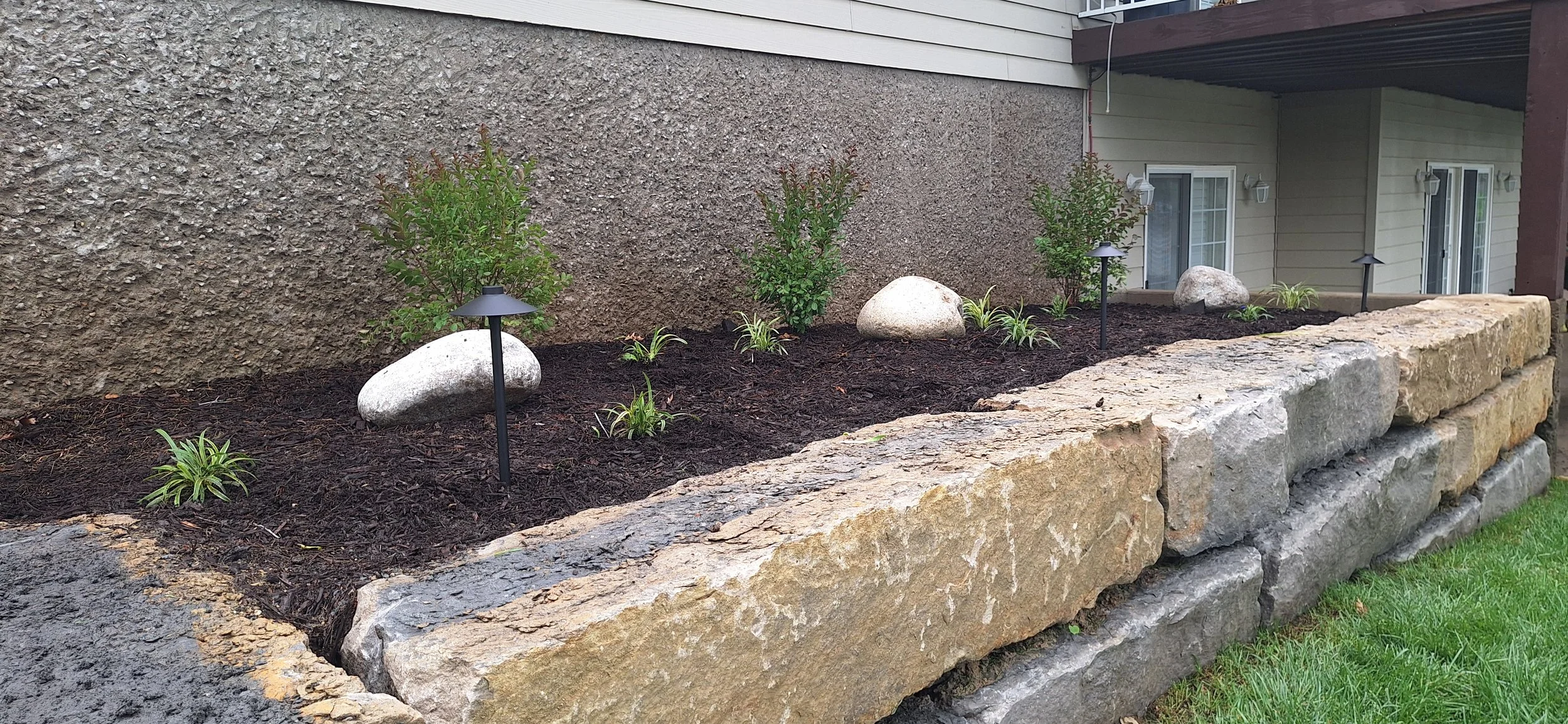 Progress photo, adding plants and landscape lighting