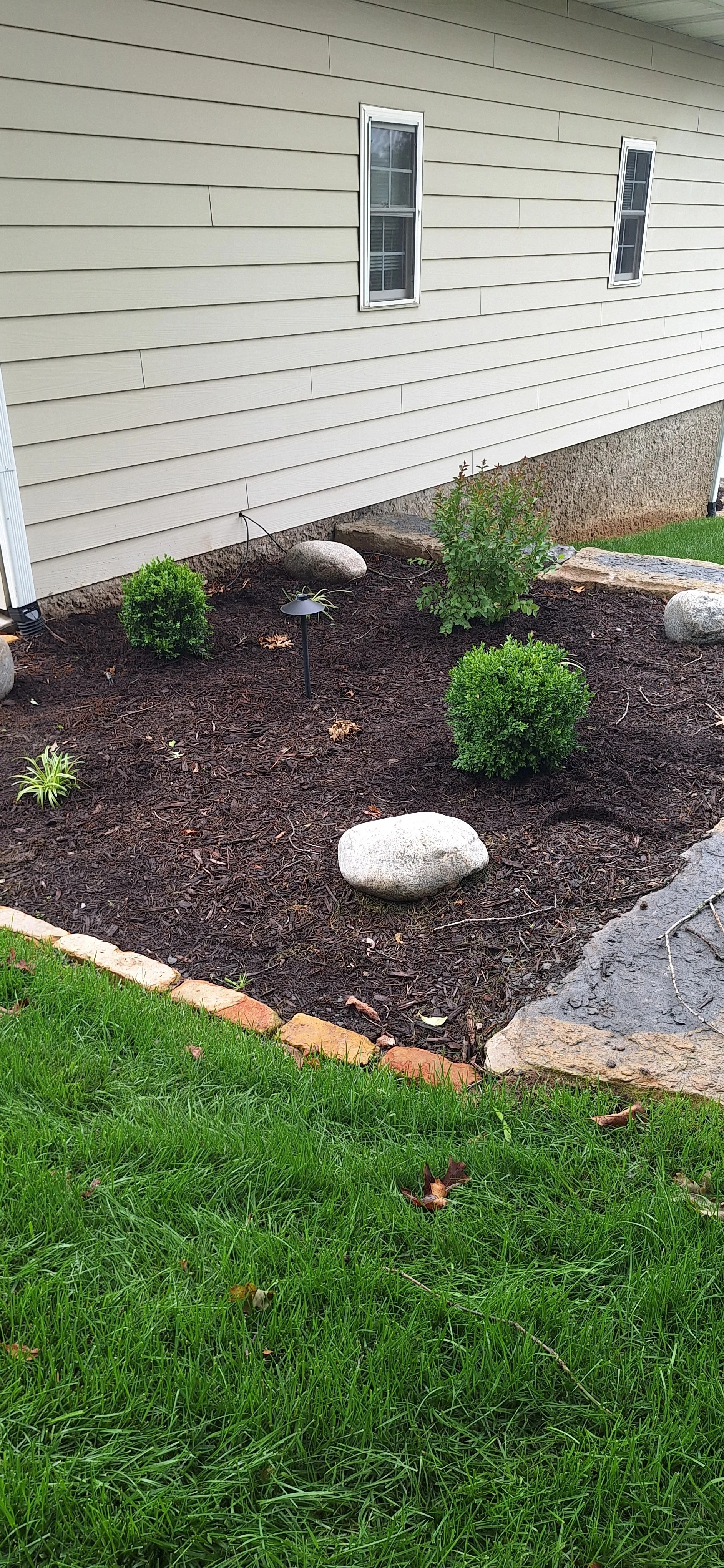 Progress photo, adding plants