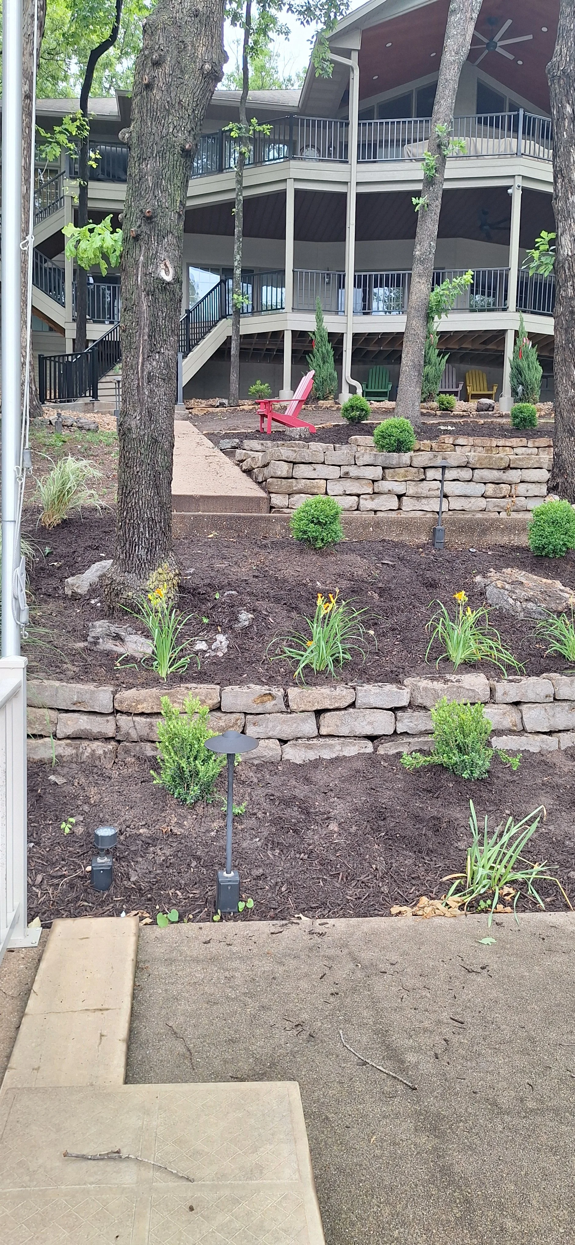 New planting
