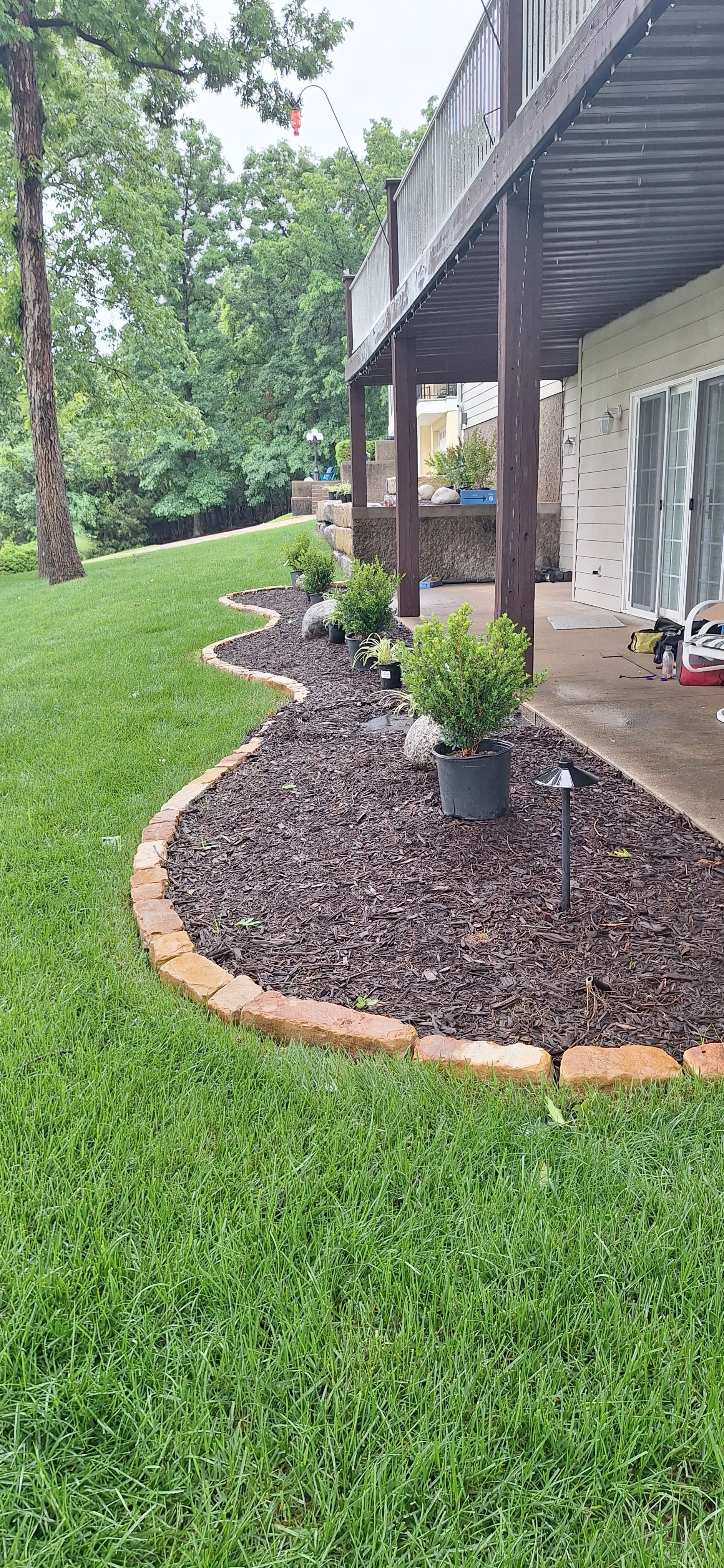 Progress photo, adding plants