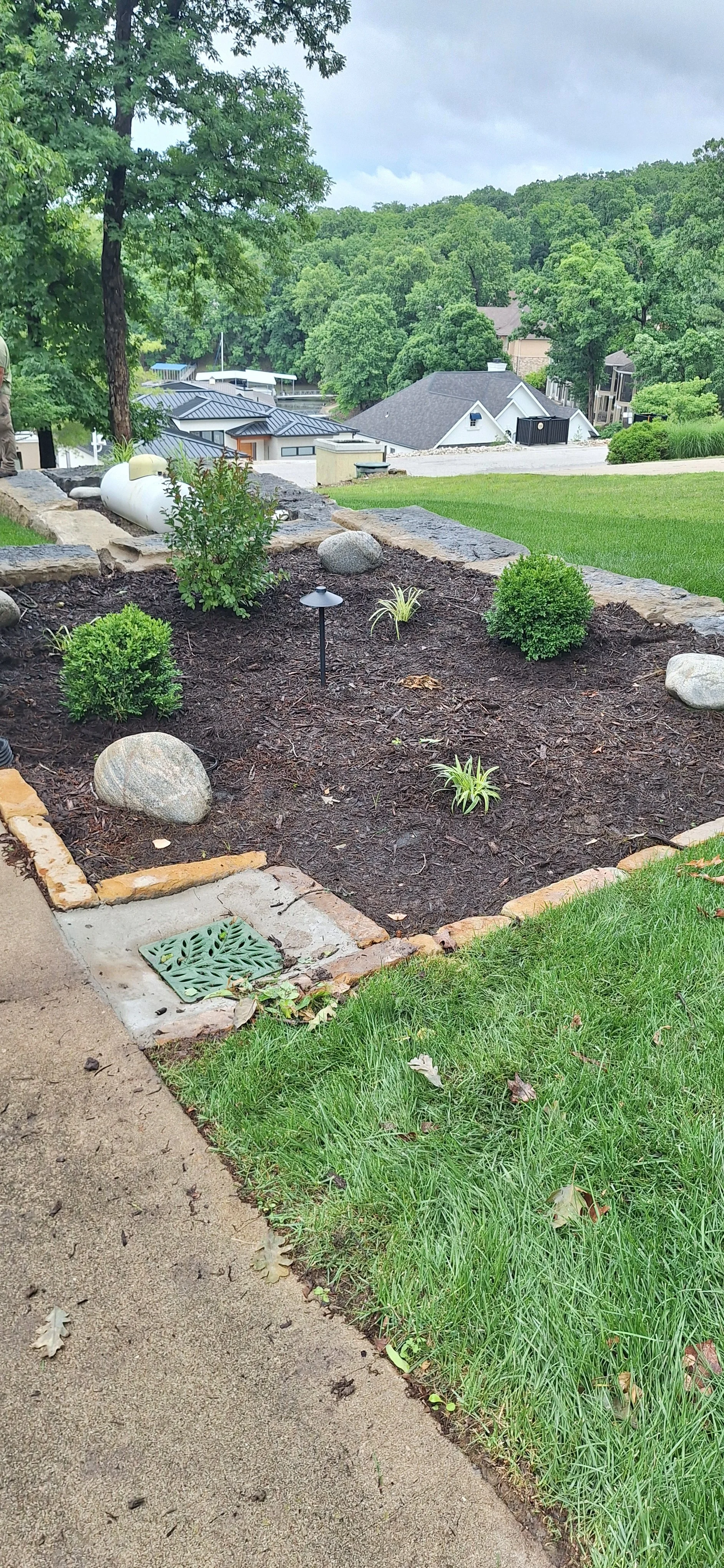 Progress photo, adding plants