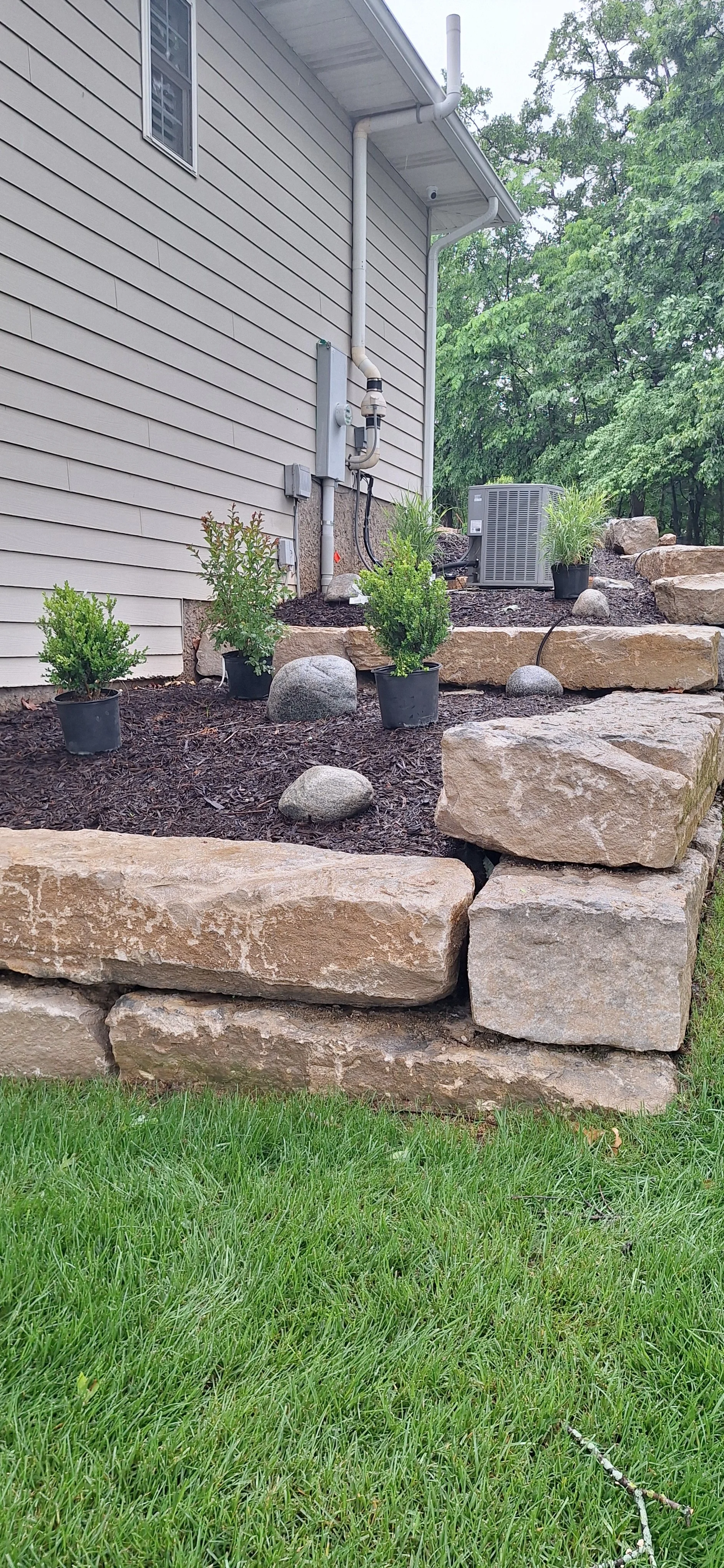 Progress photo, adding plants