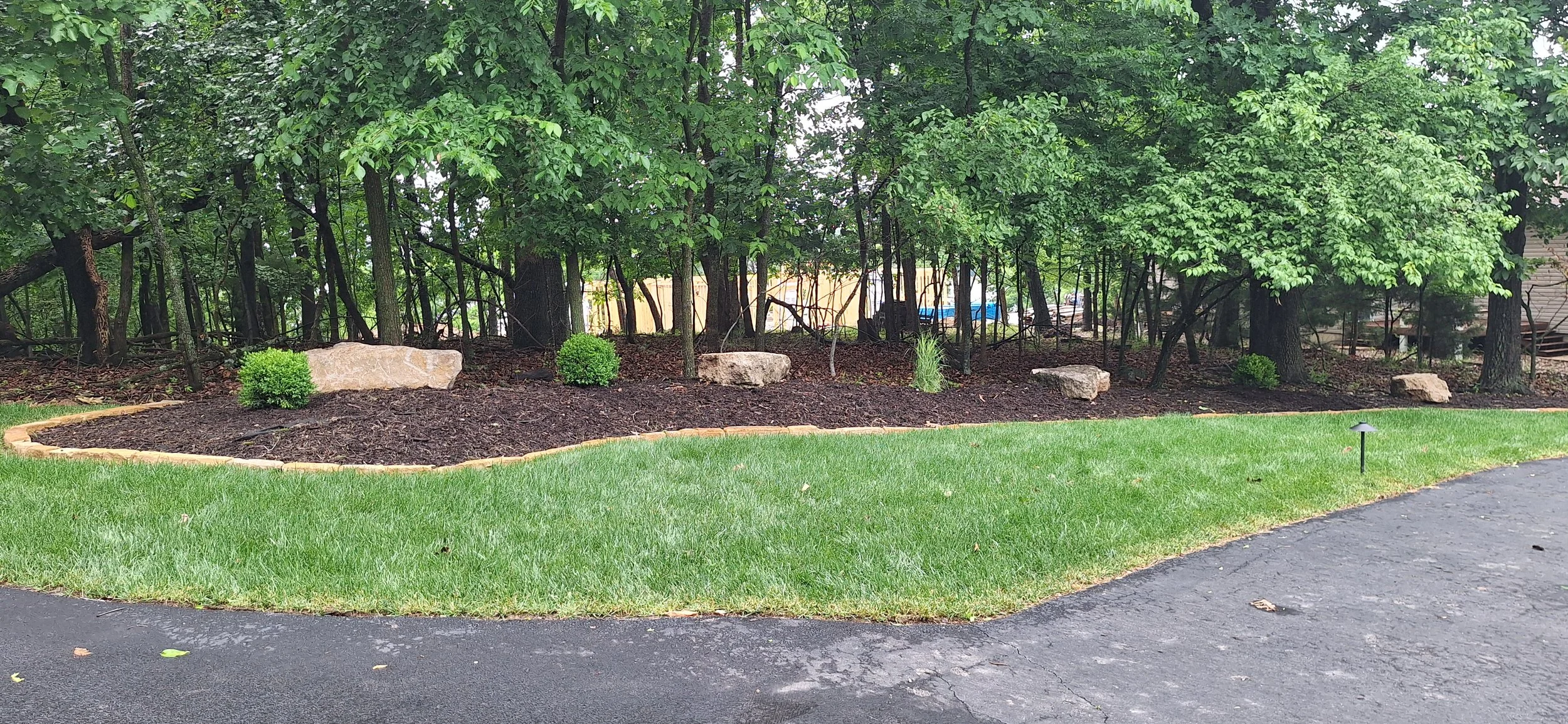 Progress photo, adding plants and landscape lighting