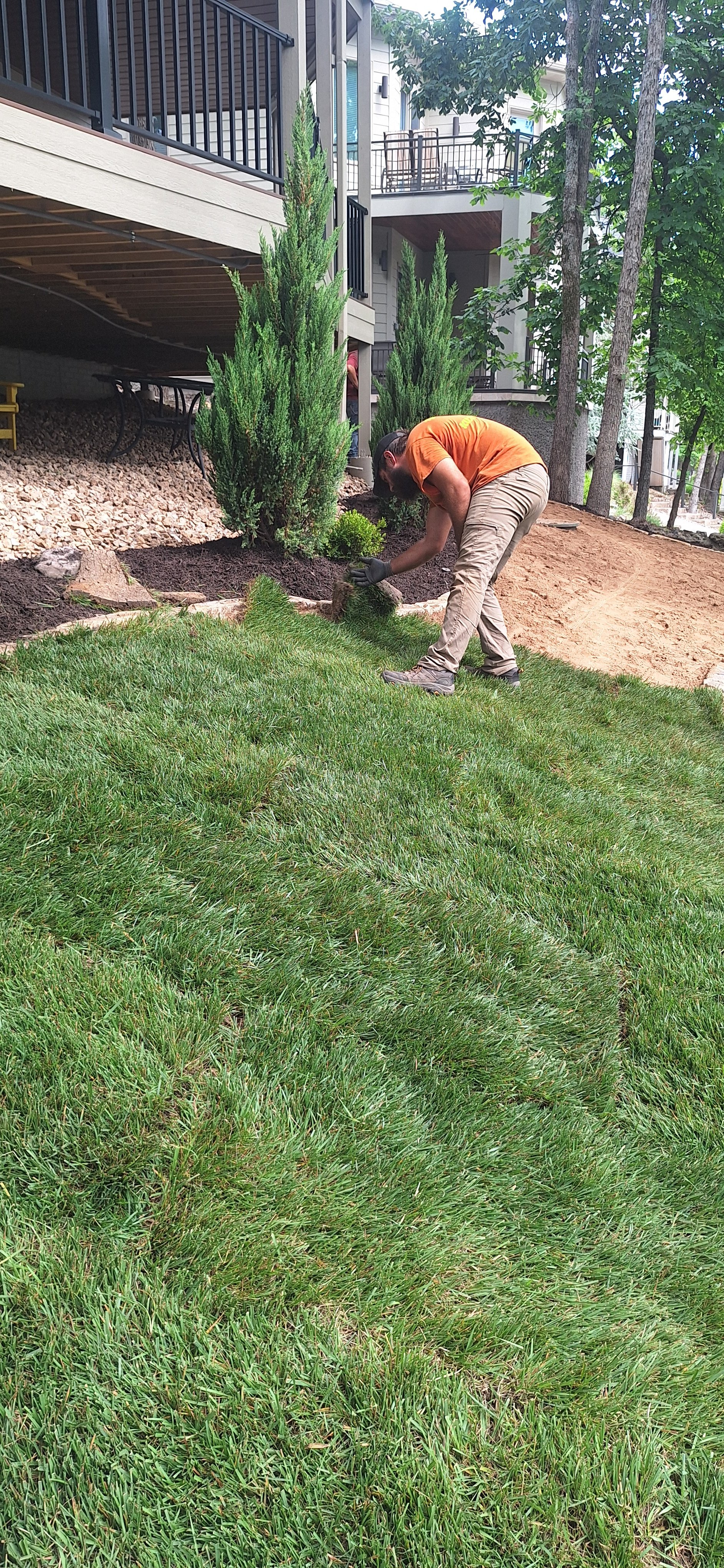 Sod, stone edging, plants