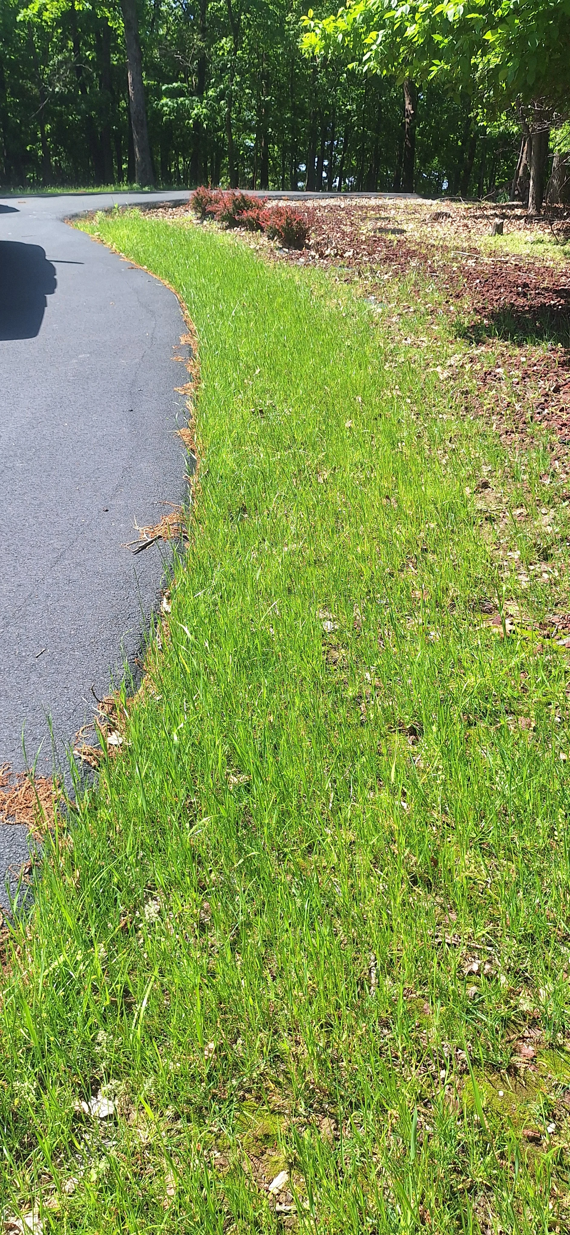 Before picture