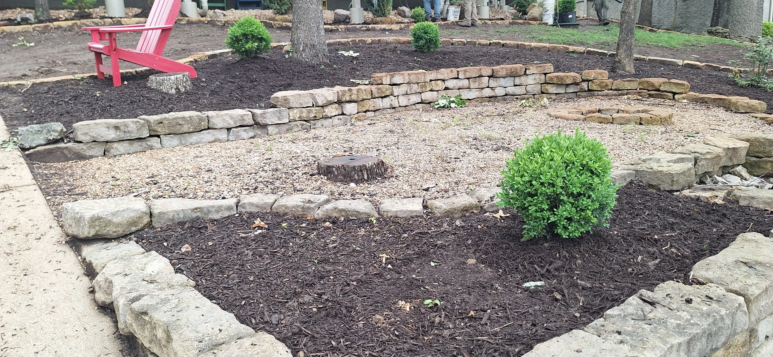 New planting