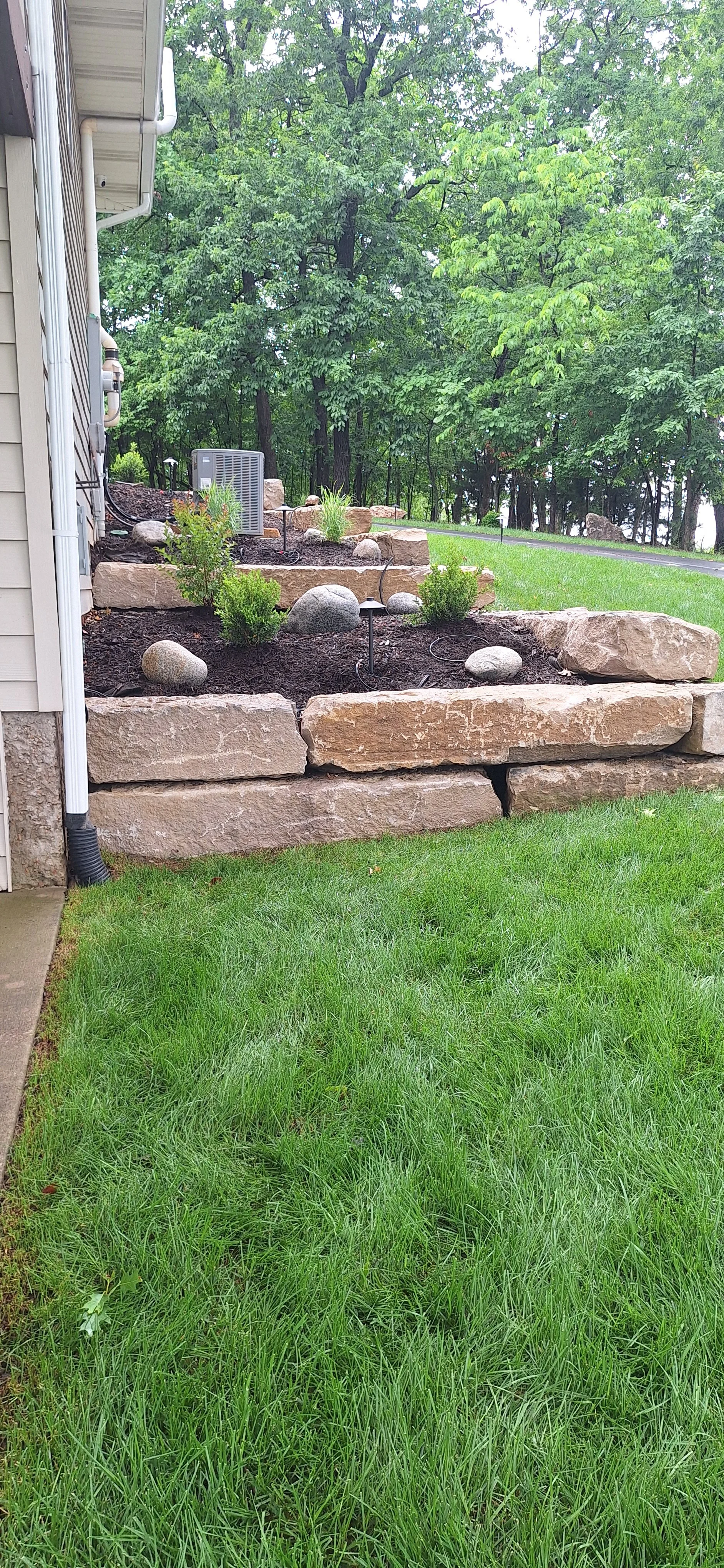 Progress photo, adding plants