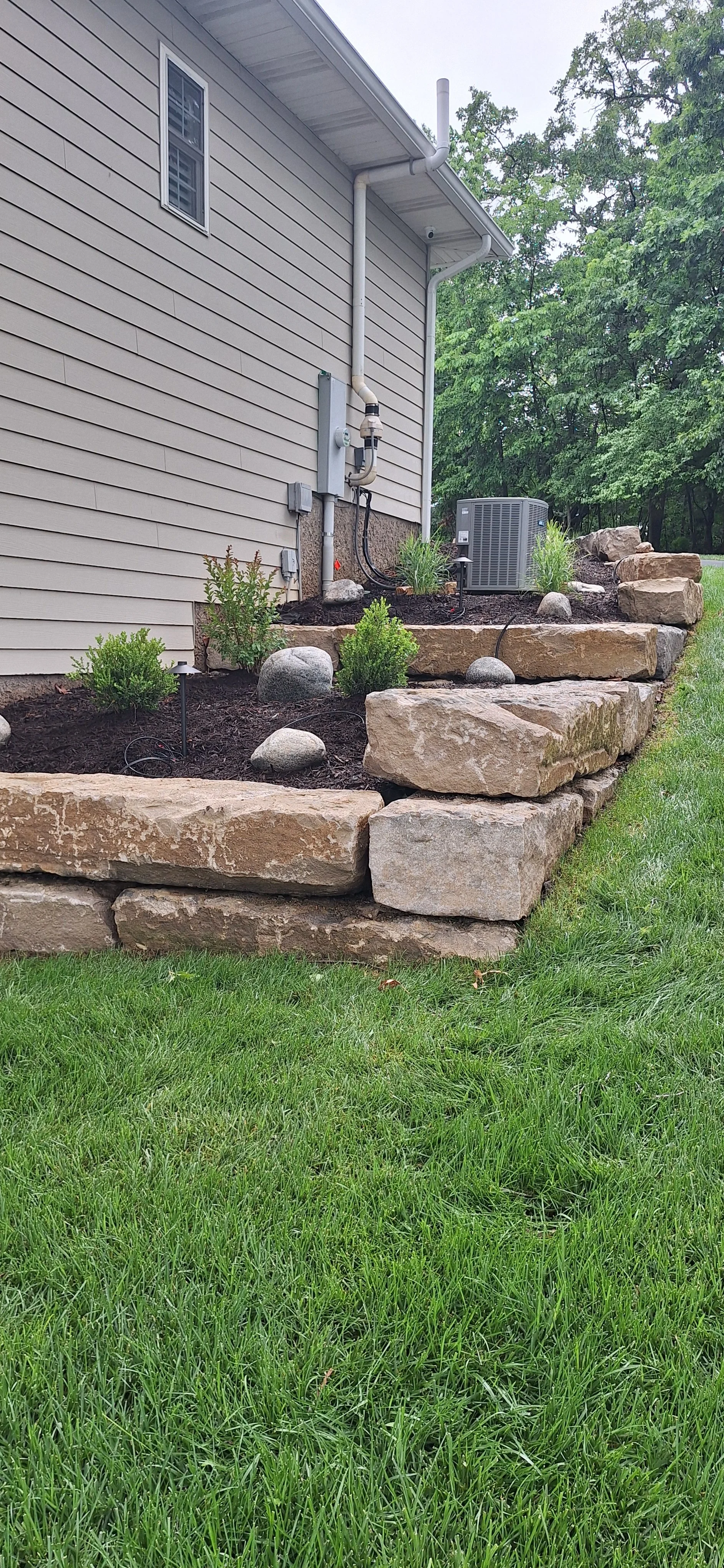 Progress photo, adding plants