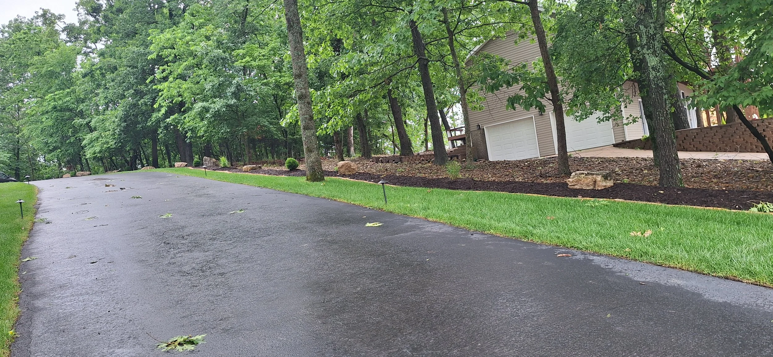 Progress photo, adding plants and landscape lighting