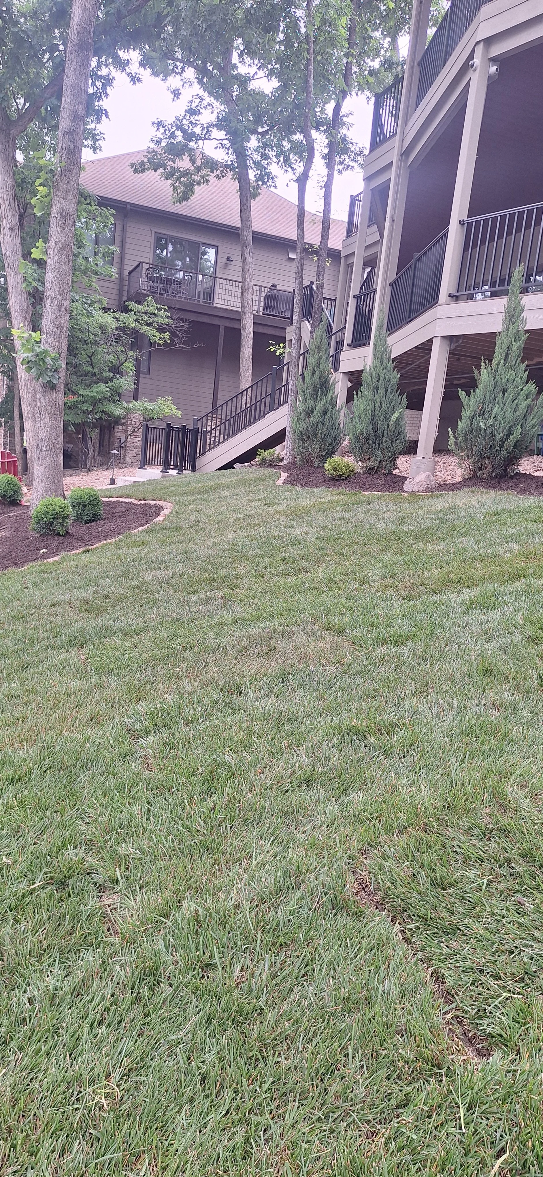 Prep for sod, stone edging, plants