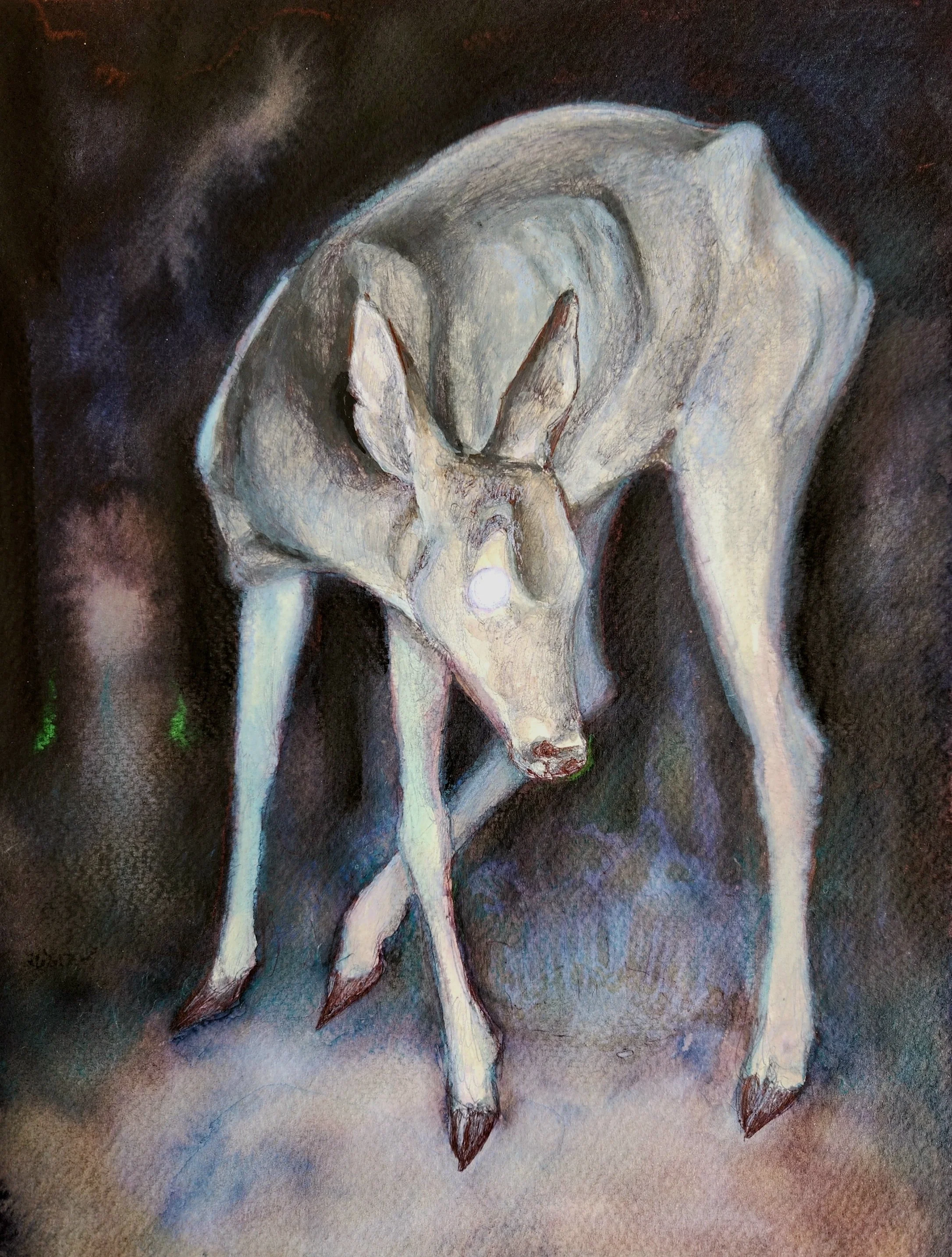 Sarah "Dangerwood" Rose, "The Doe Who Died Behind My Camera." Ballpoint, ink, mixed media on tinted paper. $968