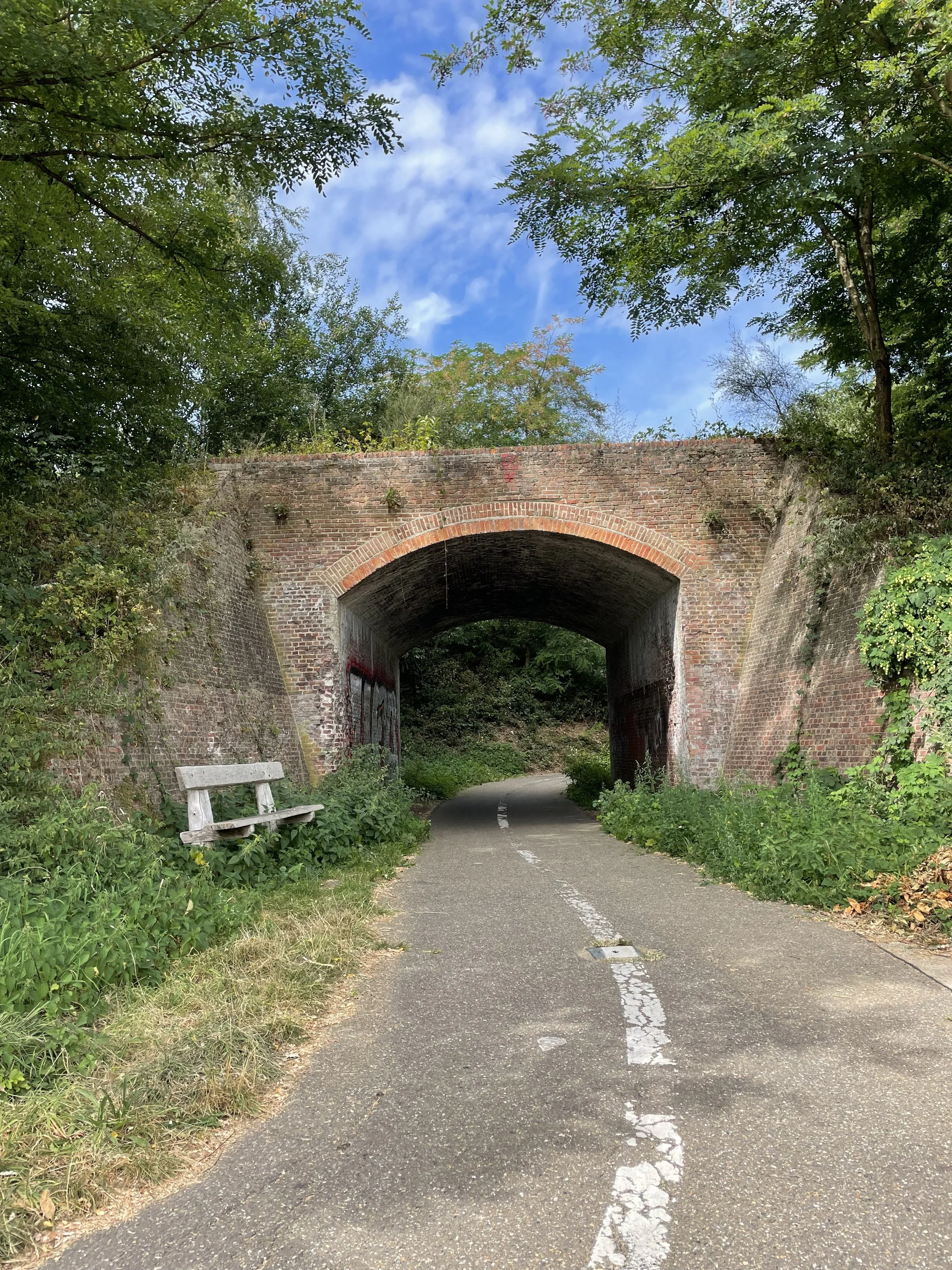 IMG_3073.jpeg