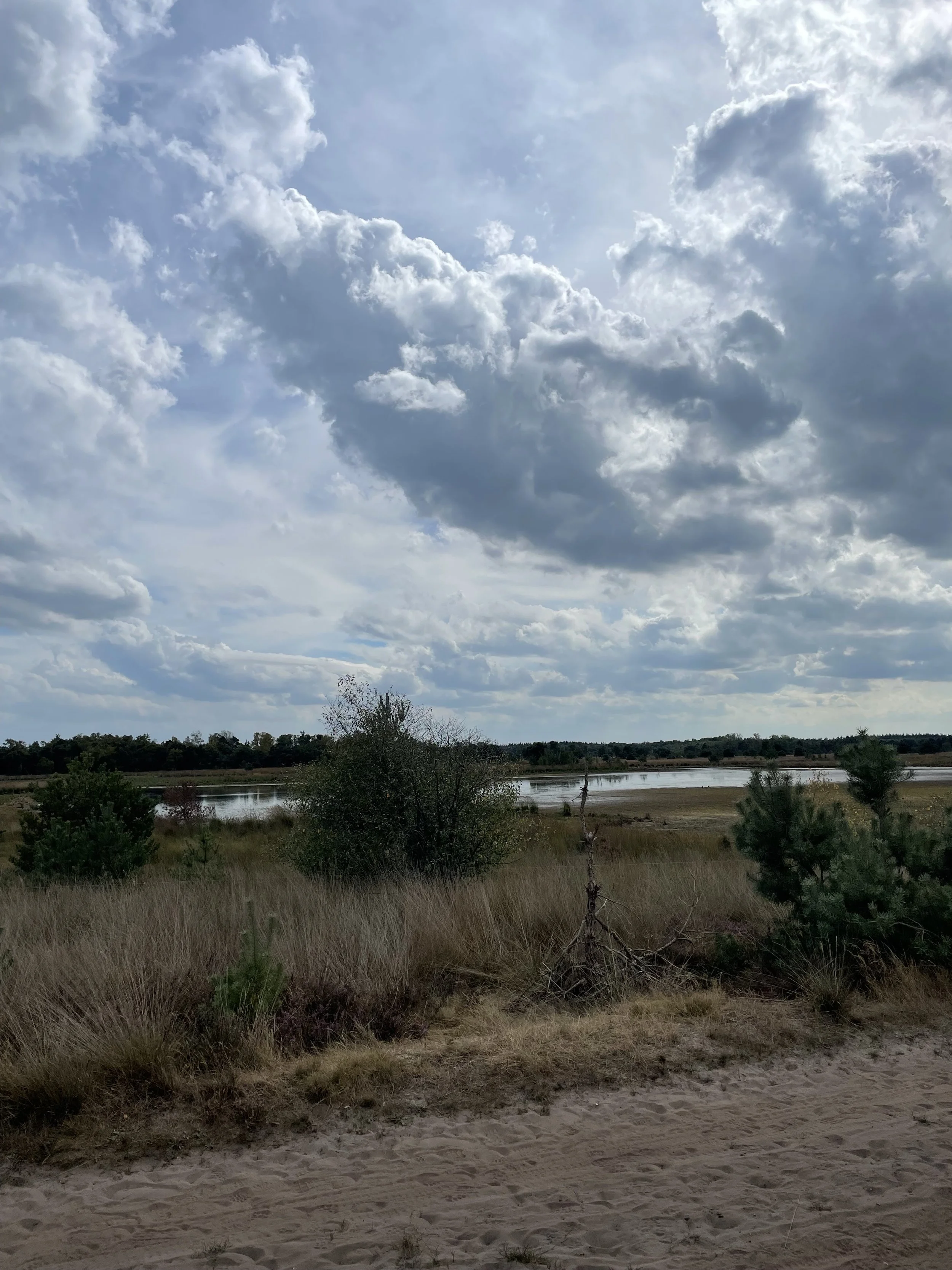 IMG_3082.jpeg