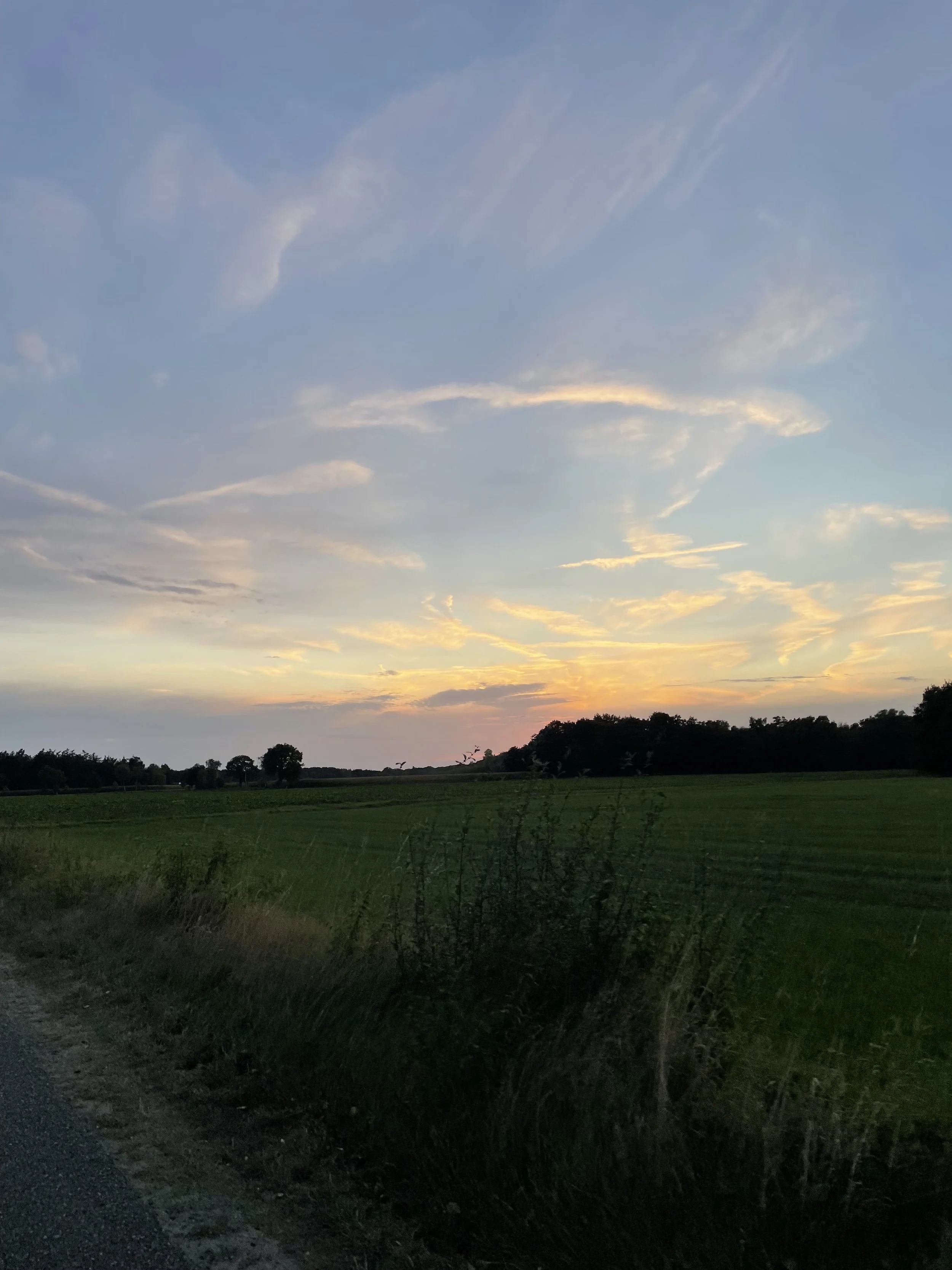 IMG_3090.jpeg