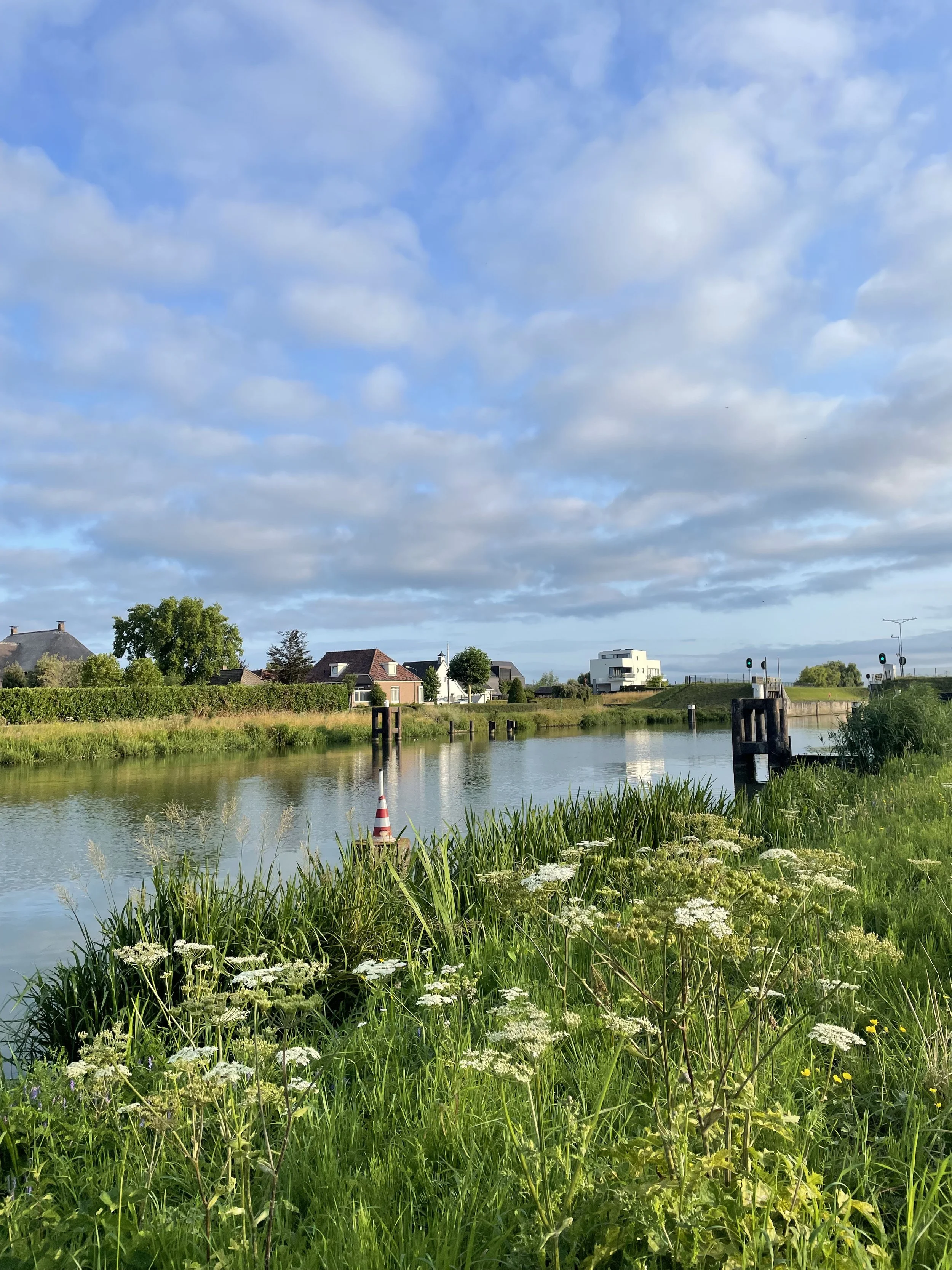 IMG_2572.jpeg