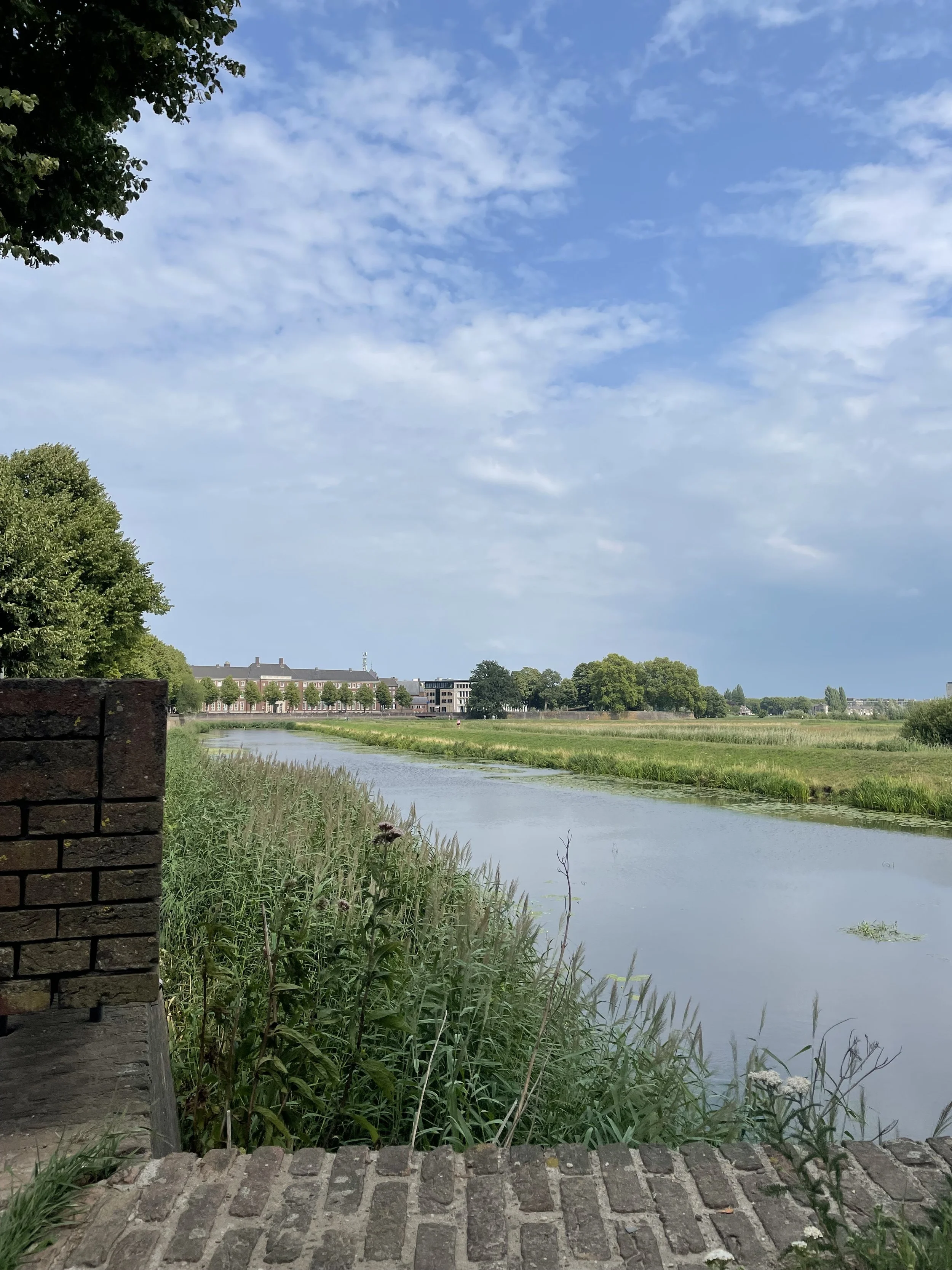 IMG_2542.jpeg