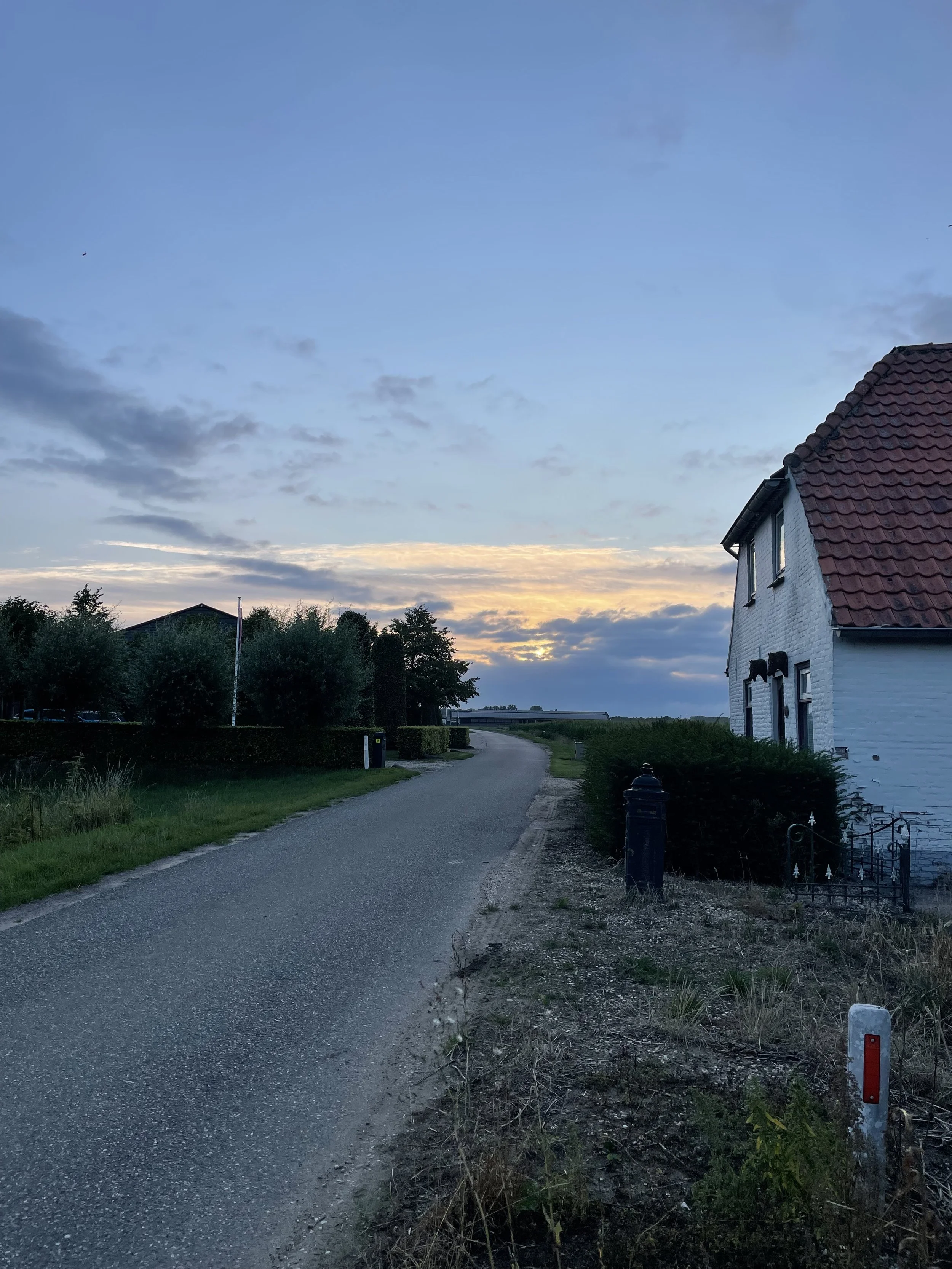 IMG_2562.jpeg