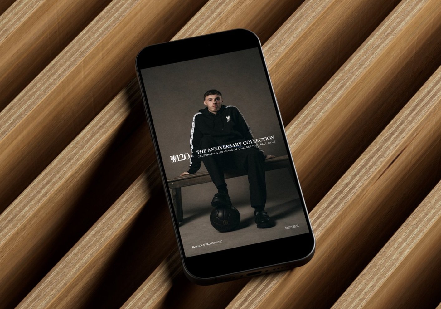 120PhoneMockup.jpg