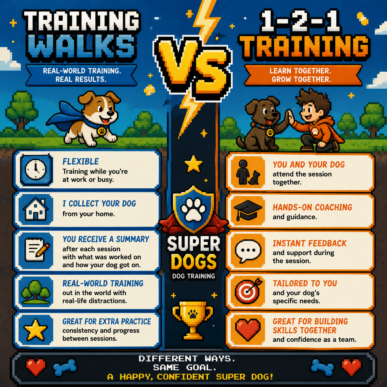 What Are Training Walks? Helping Your Dog Become the Super Dog They're Capable of Being