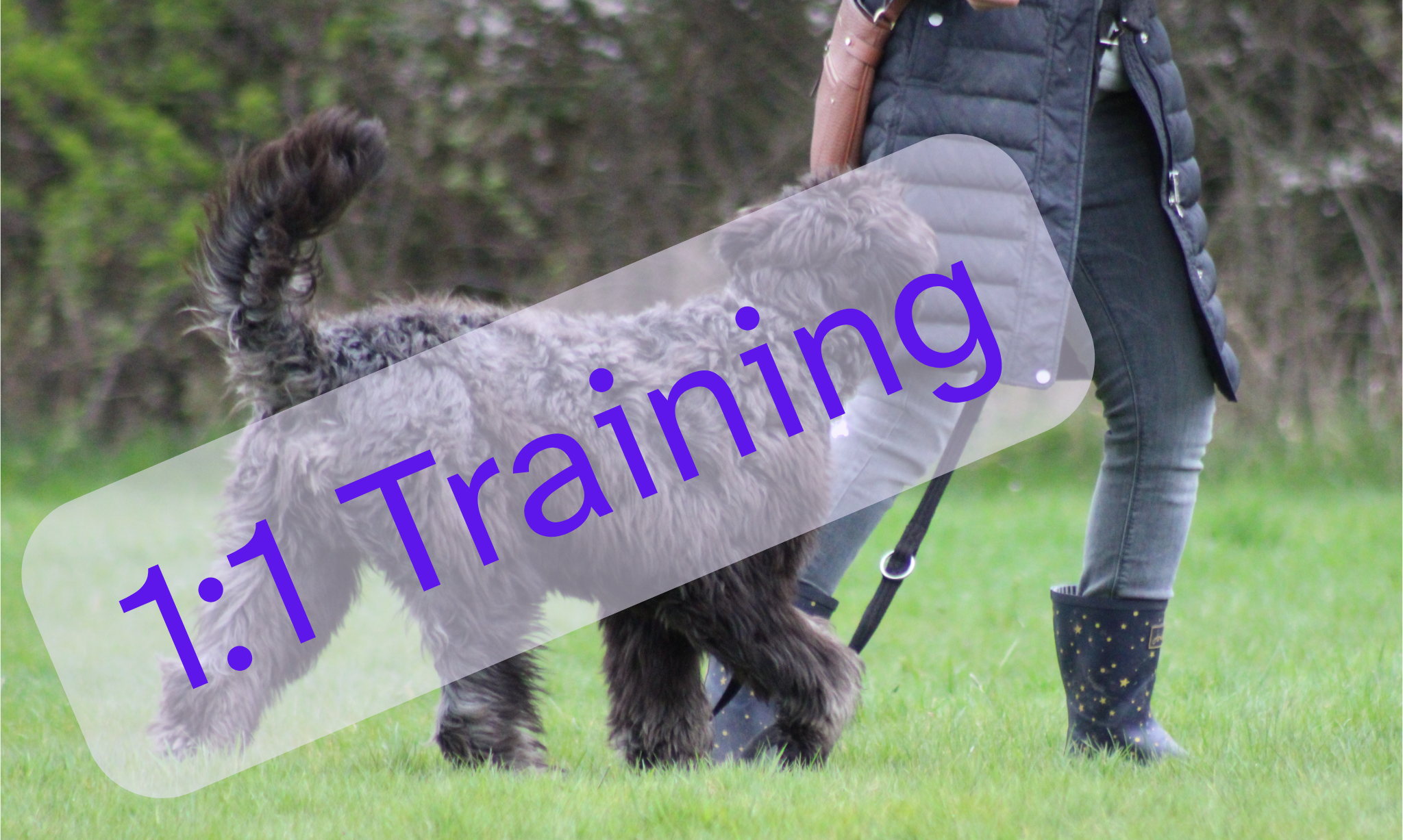 11 Training.png