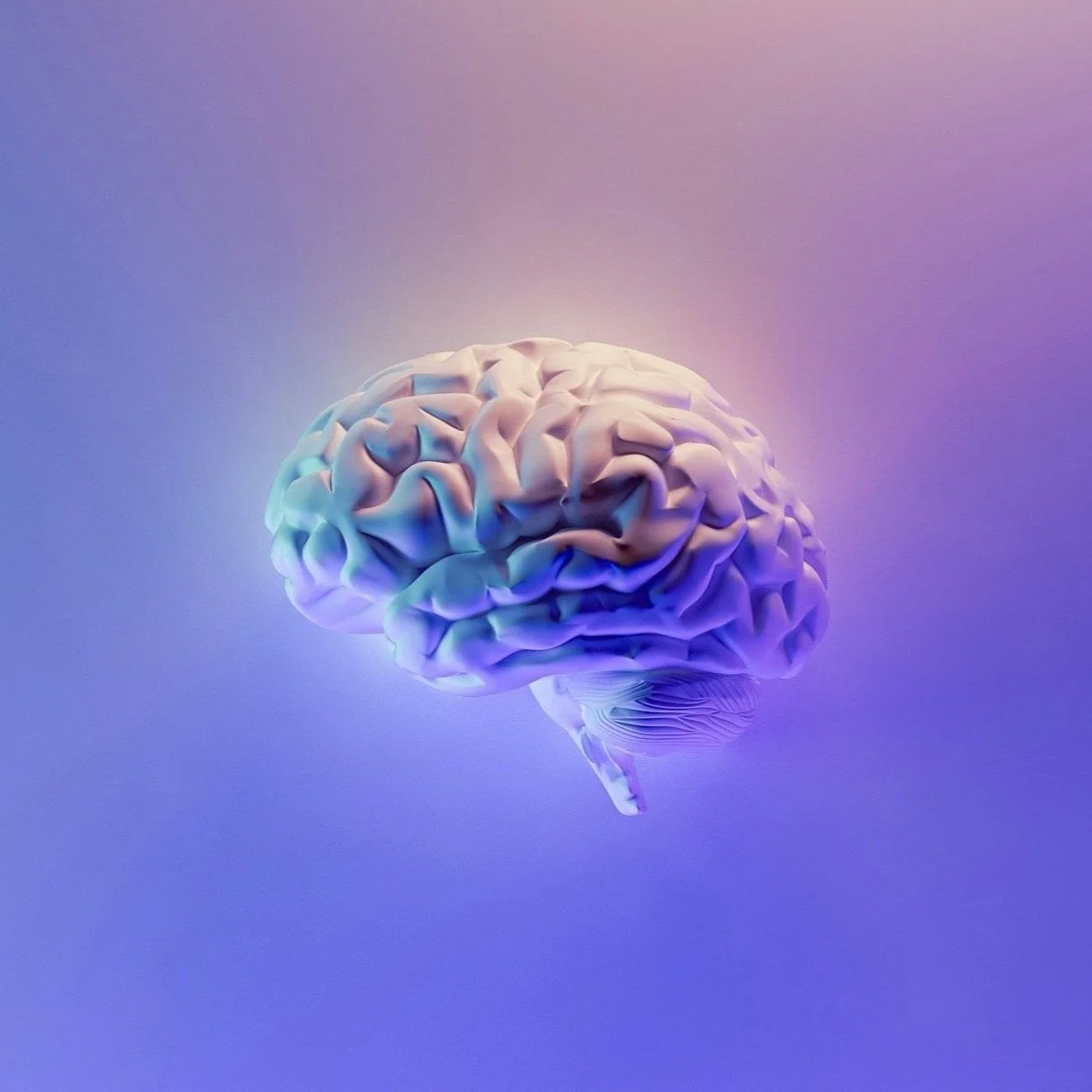 3D illustration of a human brain with a gradient blue and purple background.