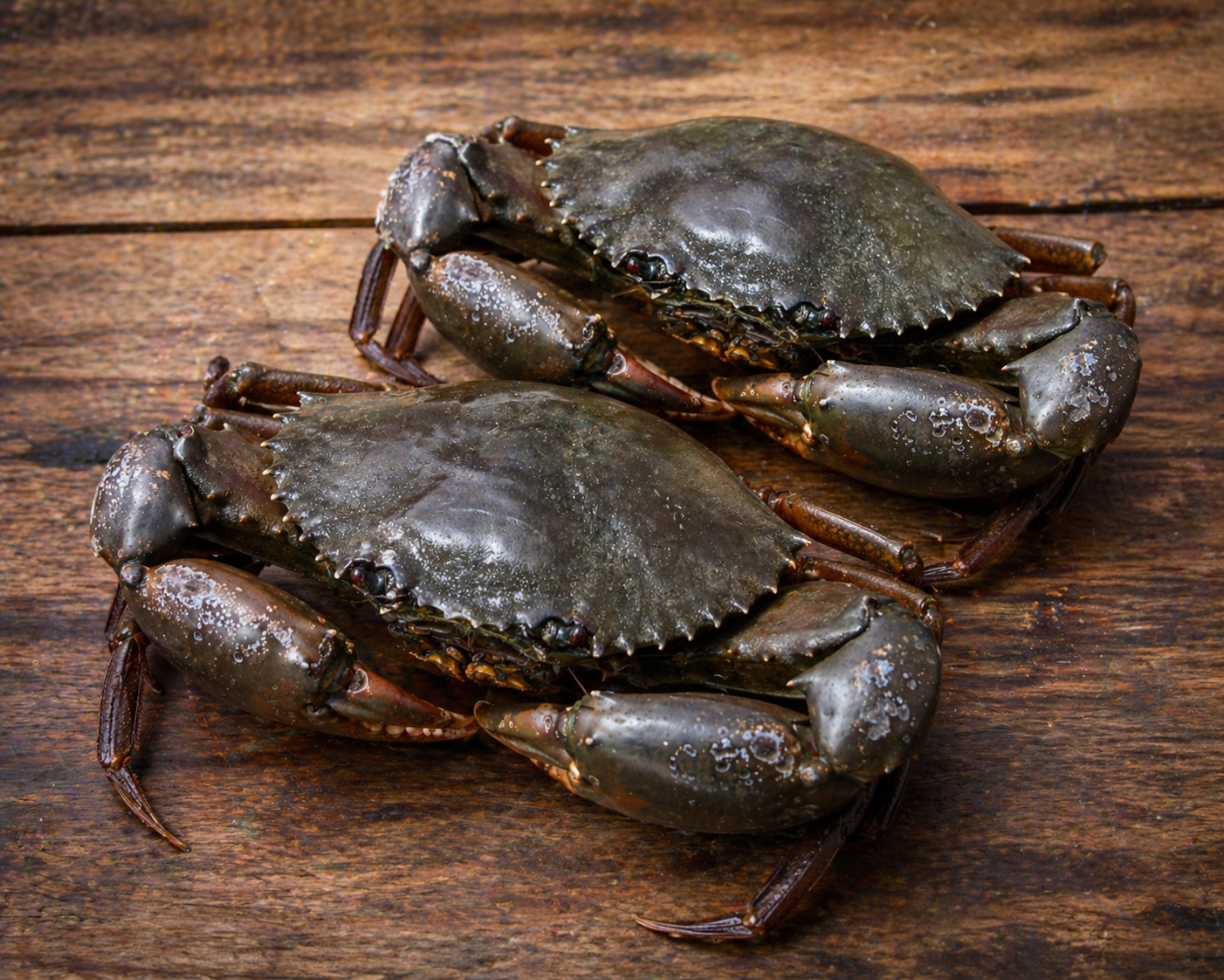 Crab Mode Duo (2 × 700g)