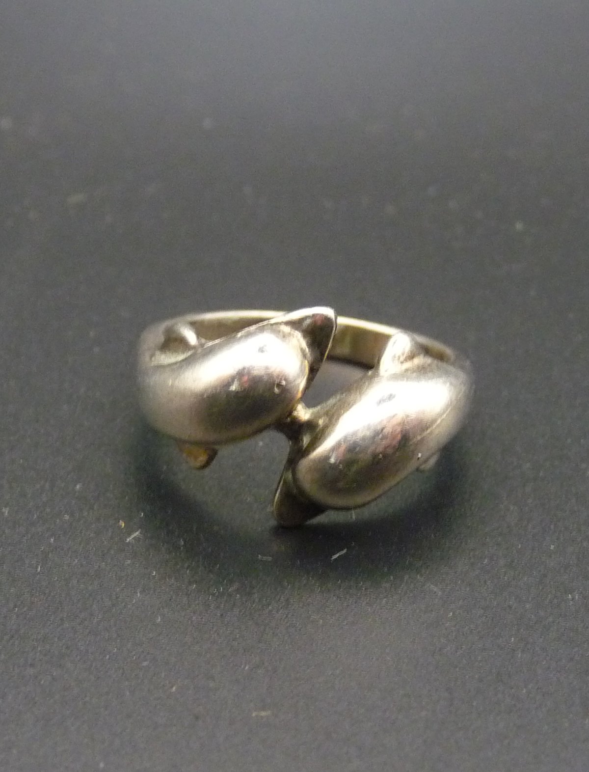 Ring6b.JPG