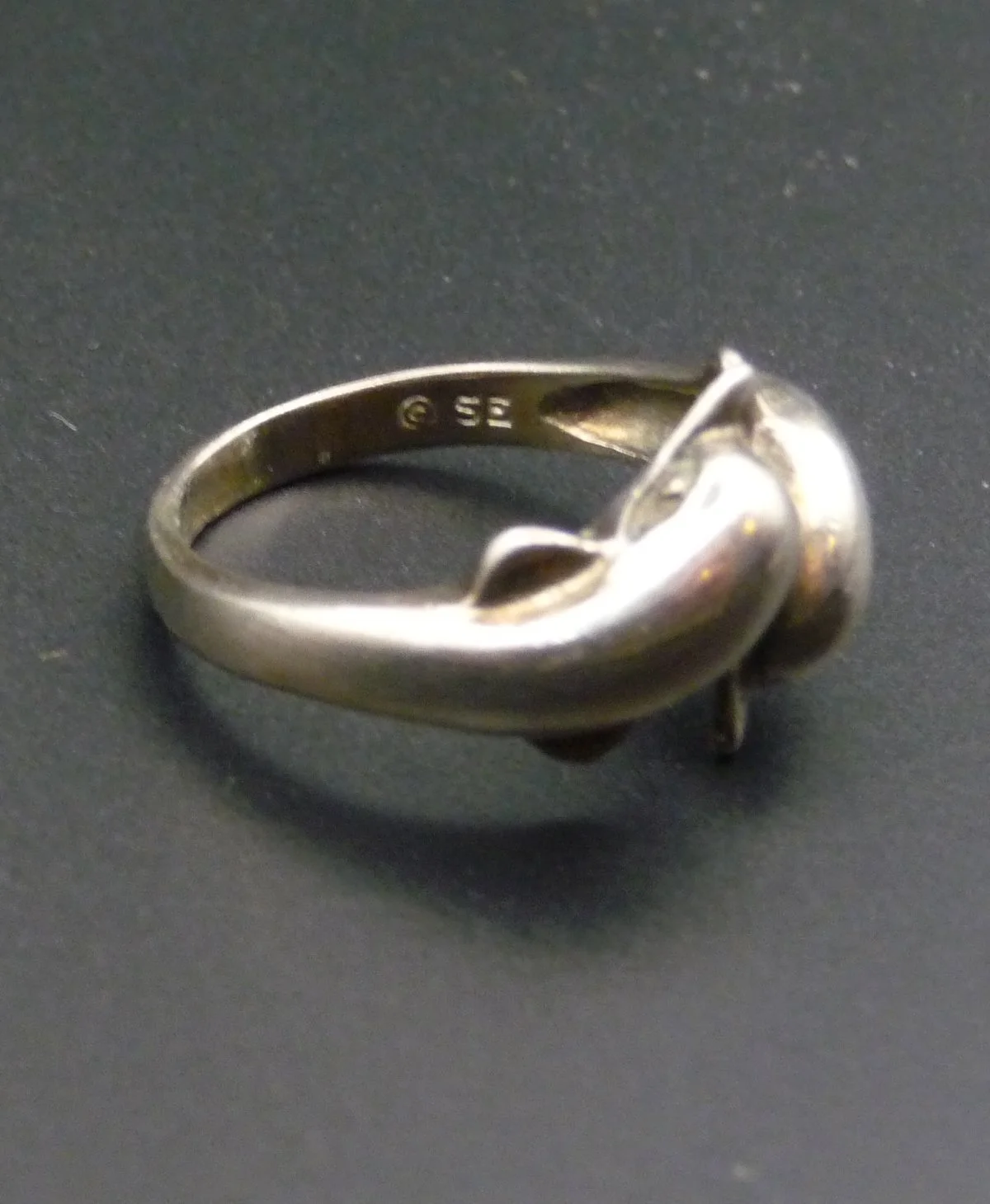 Ring6d.JPG