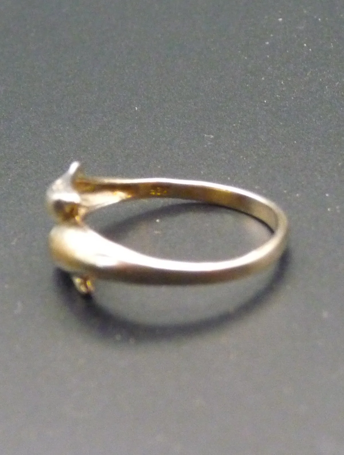 Ring3d.JPG