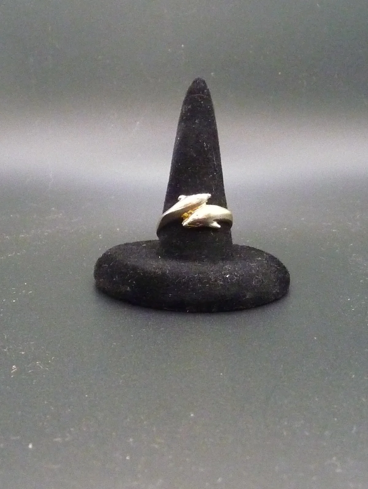 Ring3a.JPG