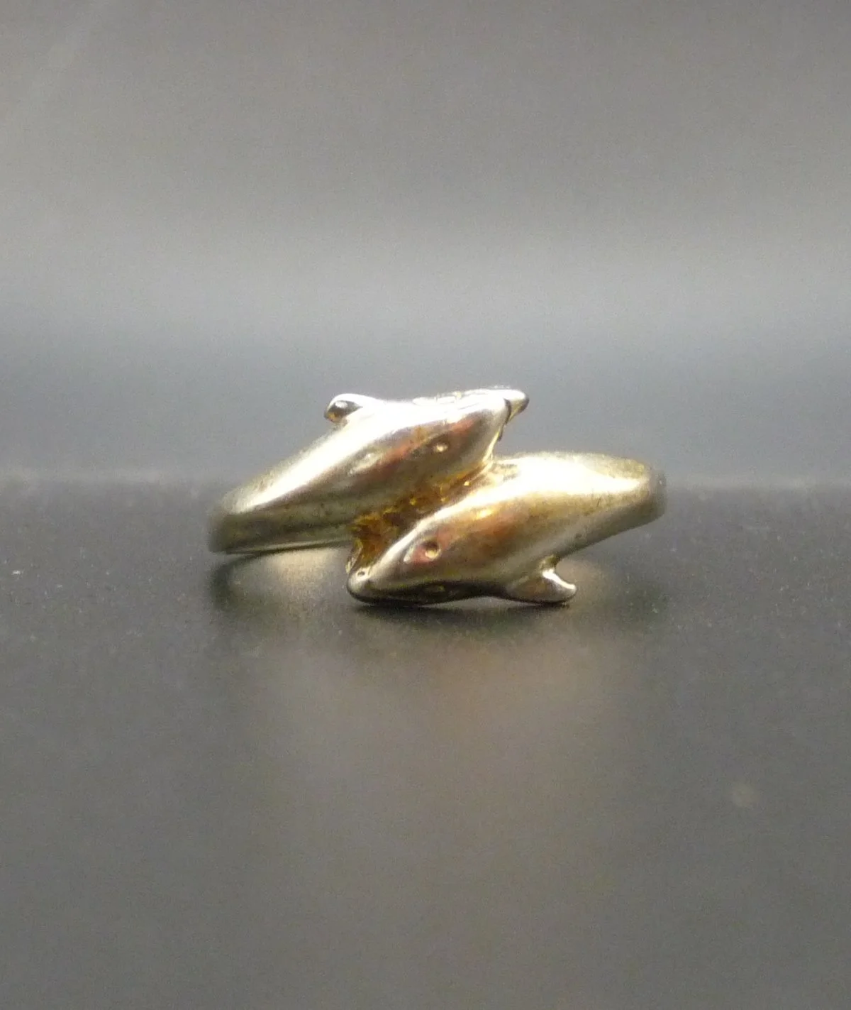 Ring3b.JPG