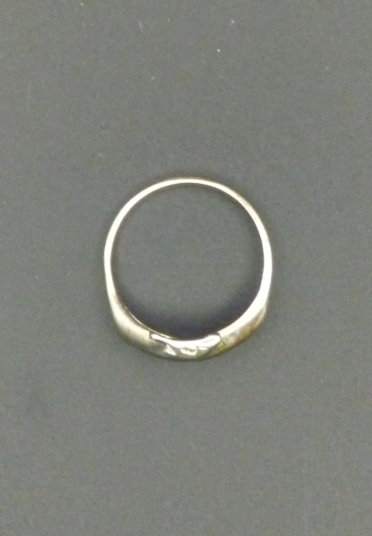 Ring3c.JPG