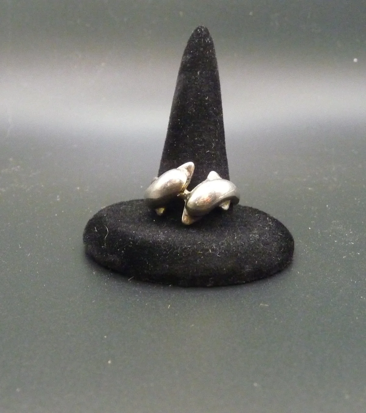 Ring6a.JPG