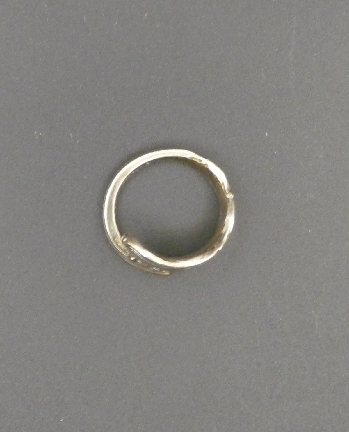 Ring4c.JPG