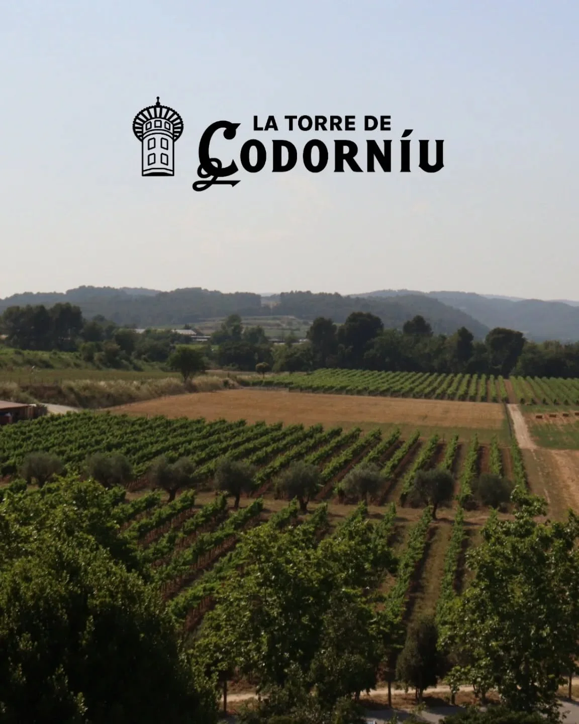 Set within the historic @codorniuglobal wine estate, @latorredecodorniu is a venue that blends heritage with contemporary gastronomy. Its spaces provide a striking backdrop for meetings, dinners and incentives, where centuries of winemaking tradition
