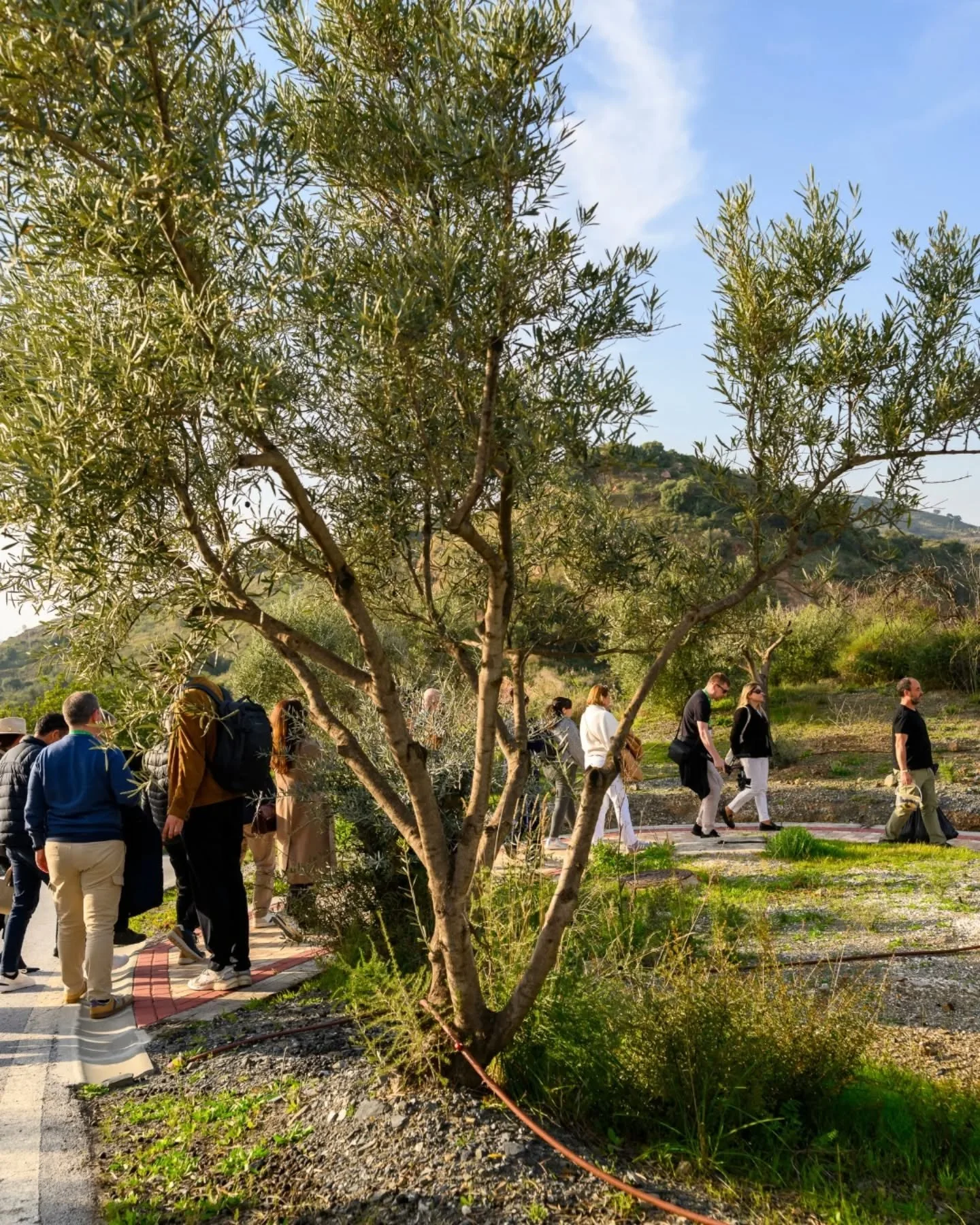 During IBX: Costa del Sol, we partnered with @sensacionesalacarta and @sobracompost to ensure all organic food surplus from the event was collected and composted.

30kg collected across the programme will:

&bull; Save 60 litres of water
&bull; Produ