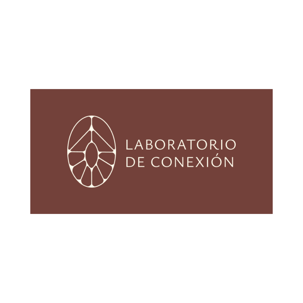 laboratorio de conexion.png