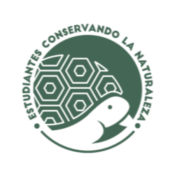 Turtle+IBX+Americas.png