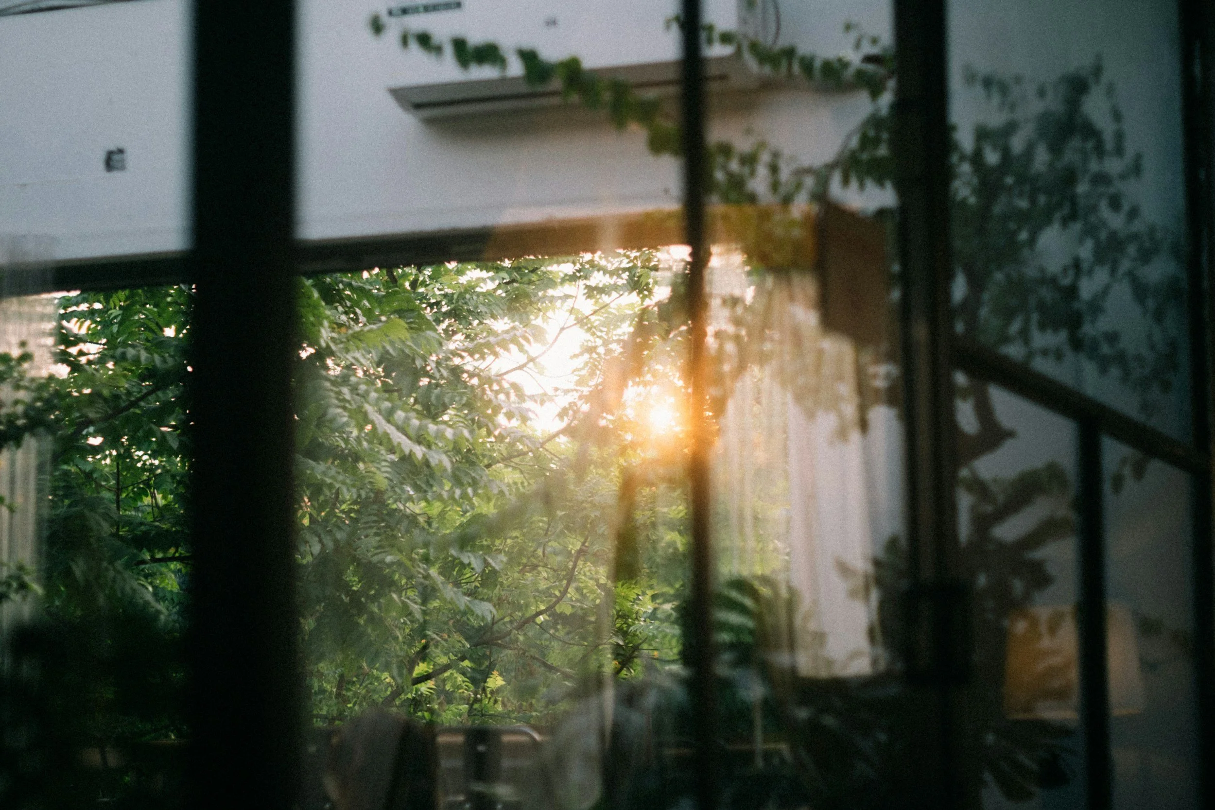 Soft morning sunlight filtering through a window, highlighting a quiet, present moment with trees outside.