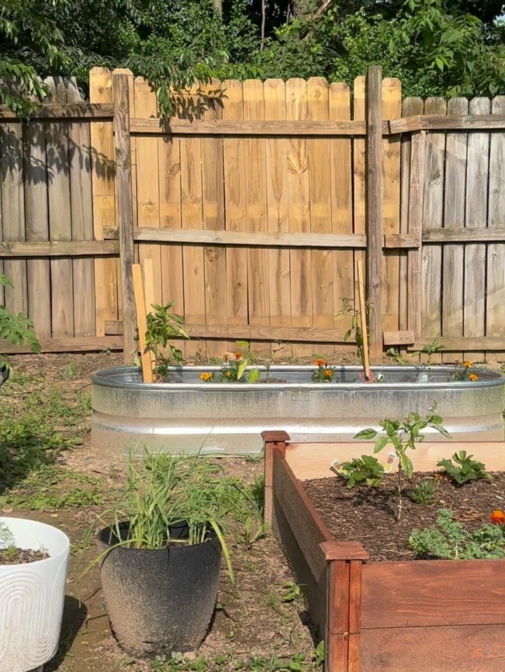 Did you know gardening could help you recover between workouts?

There are different types of recovery. Active recovery, passive recovery, self-care, stress management, and sleep. 

Active recovery is a low-intensity activity that increases blood flo