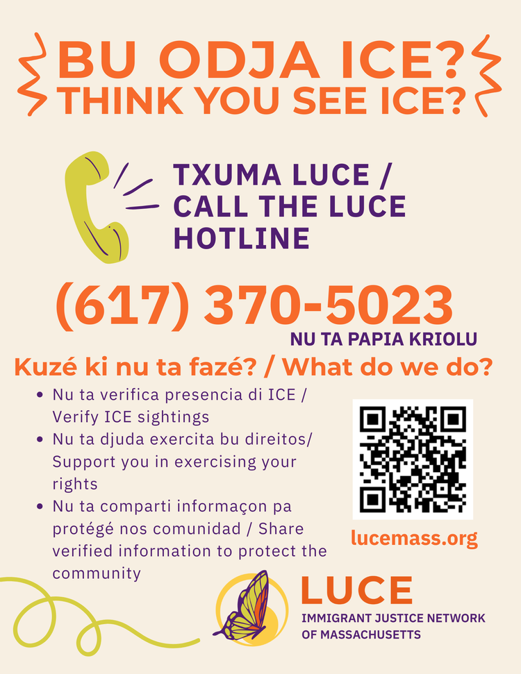 Luce Ed Program LUCE Immigrant Justice Network of MA