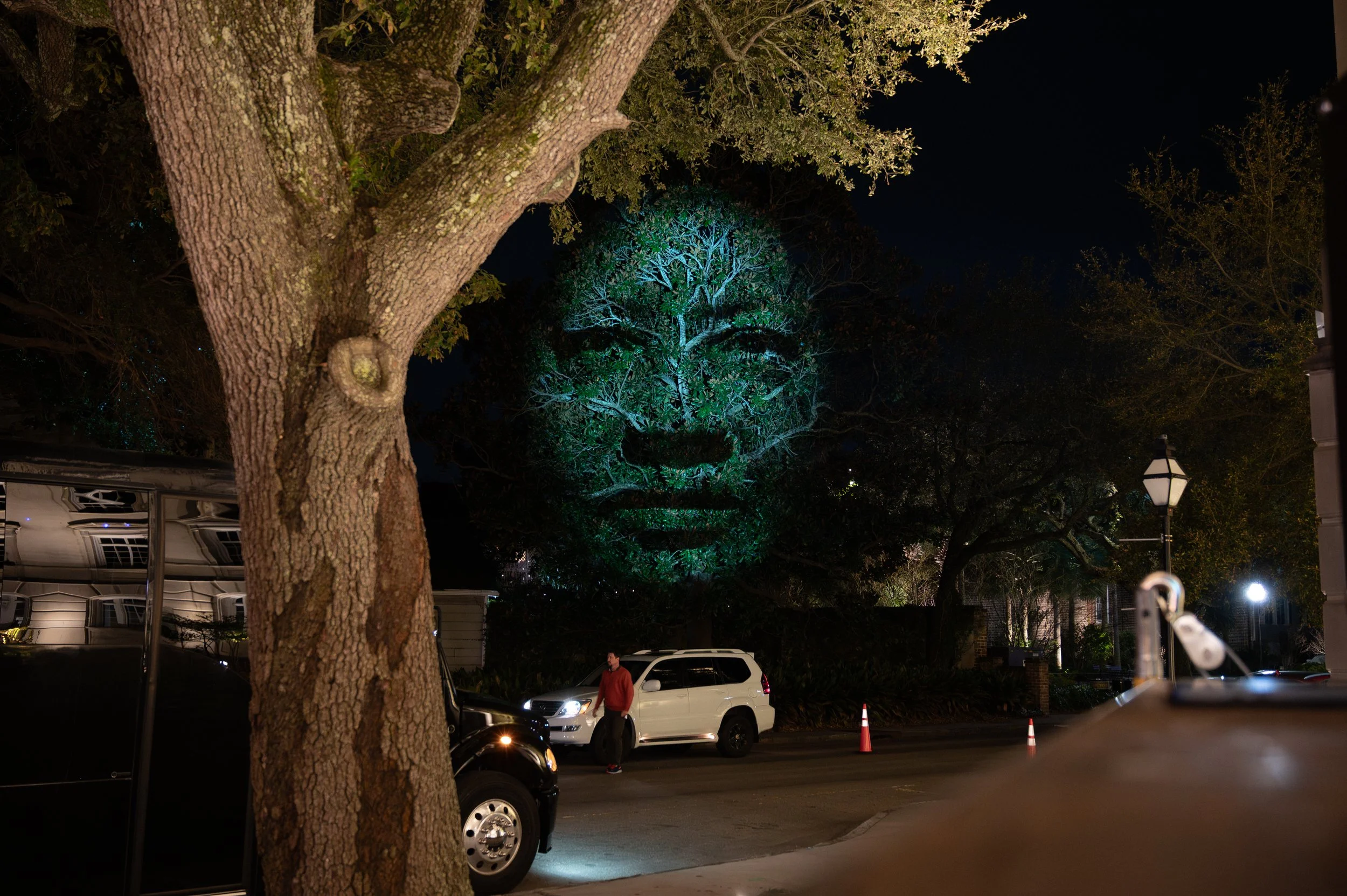 A projection of someone's face on trees.