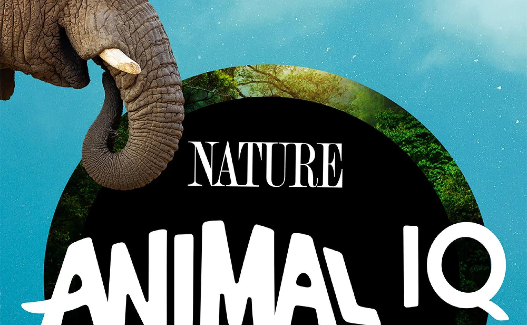 ANIMAL IQ (New PBS Digital Studios & Nature Series Hosted by Trace Dominguez)